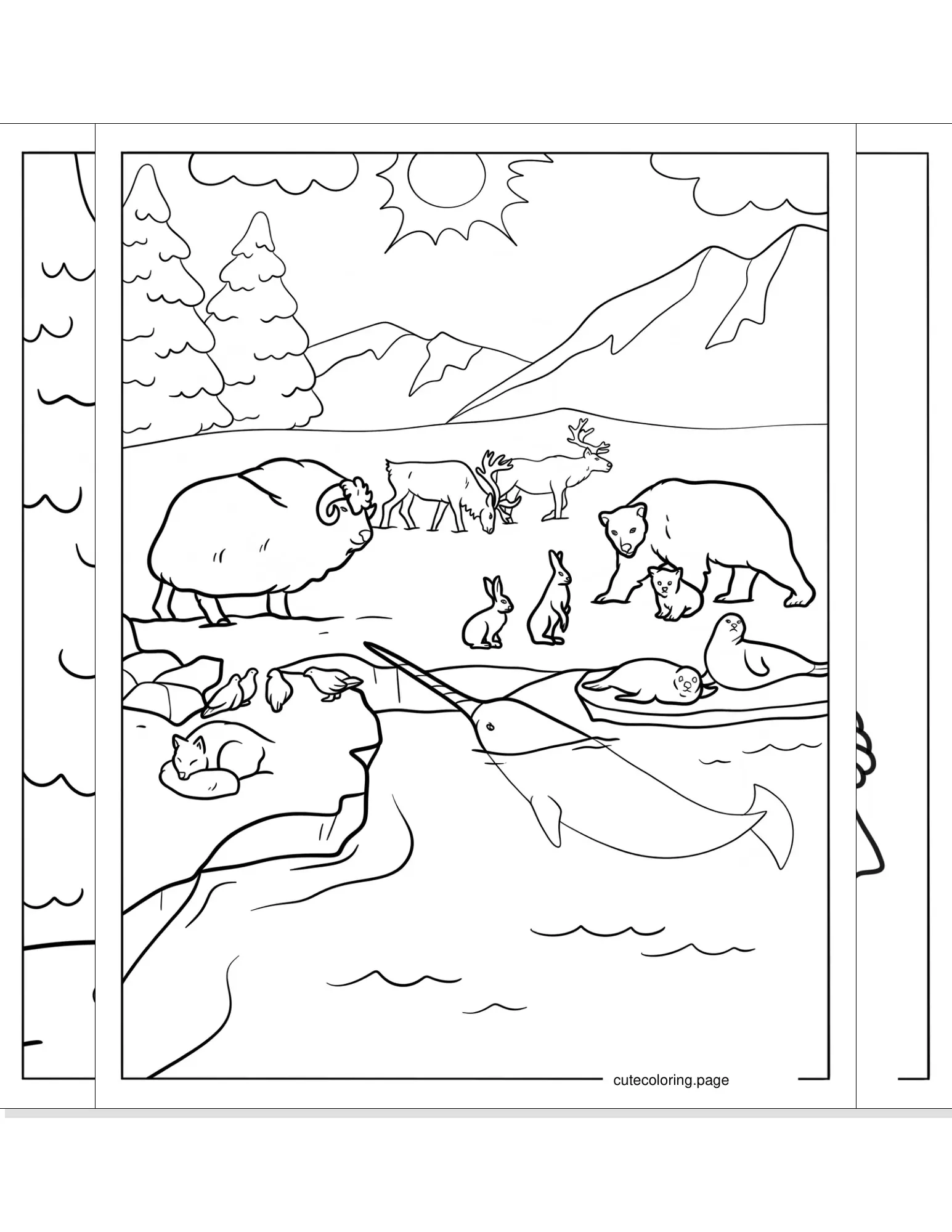 arctic animals coloring pages coloring page