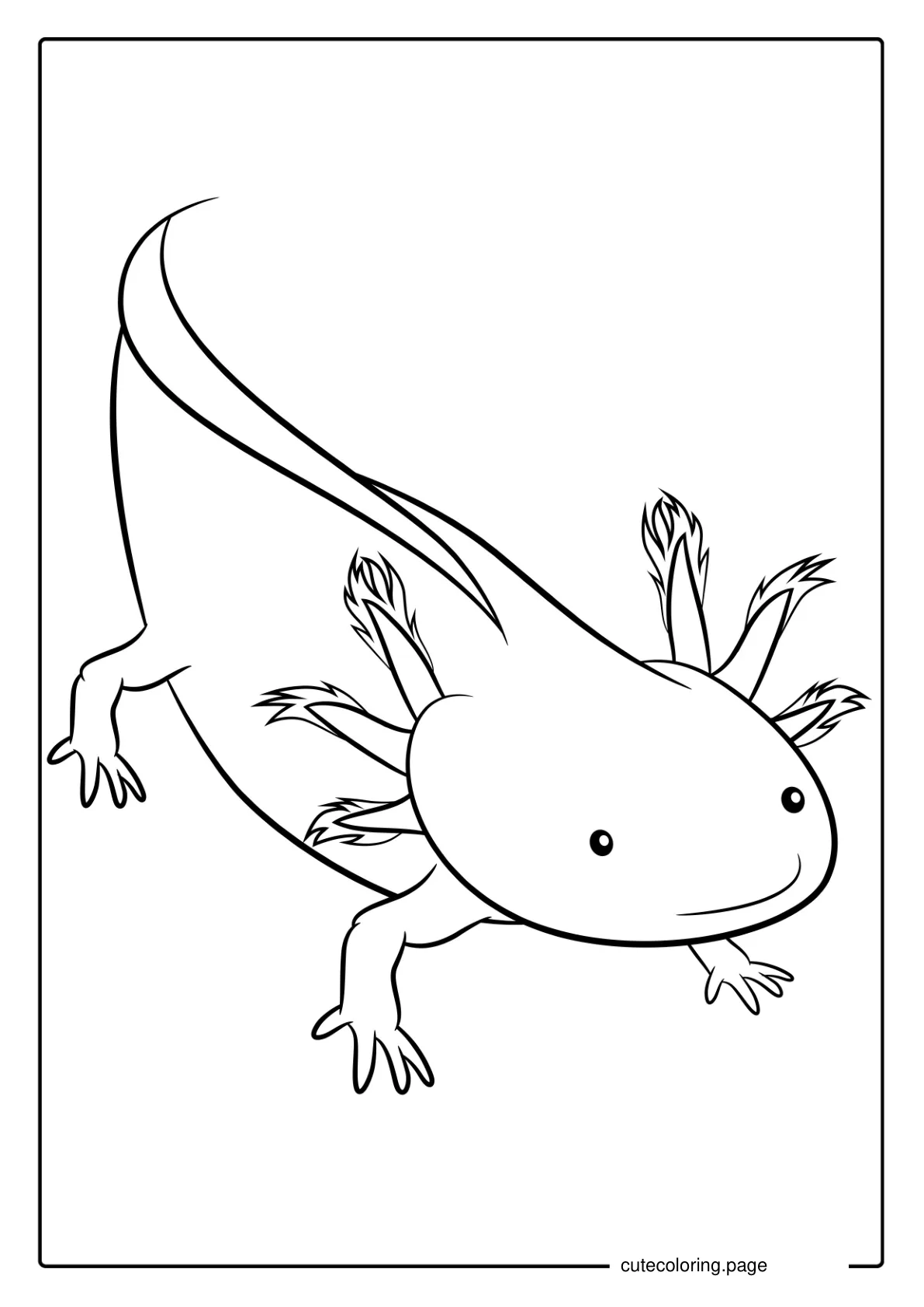 Outline Of Axolotl Coloring Page coloring page