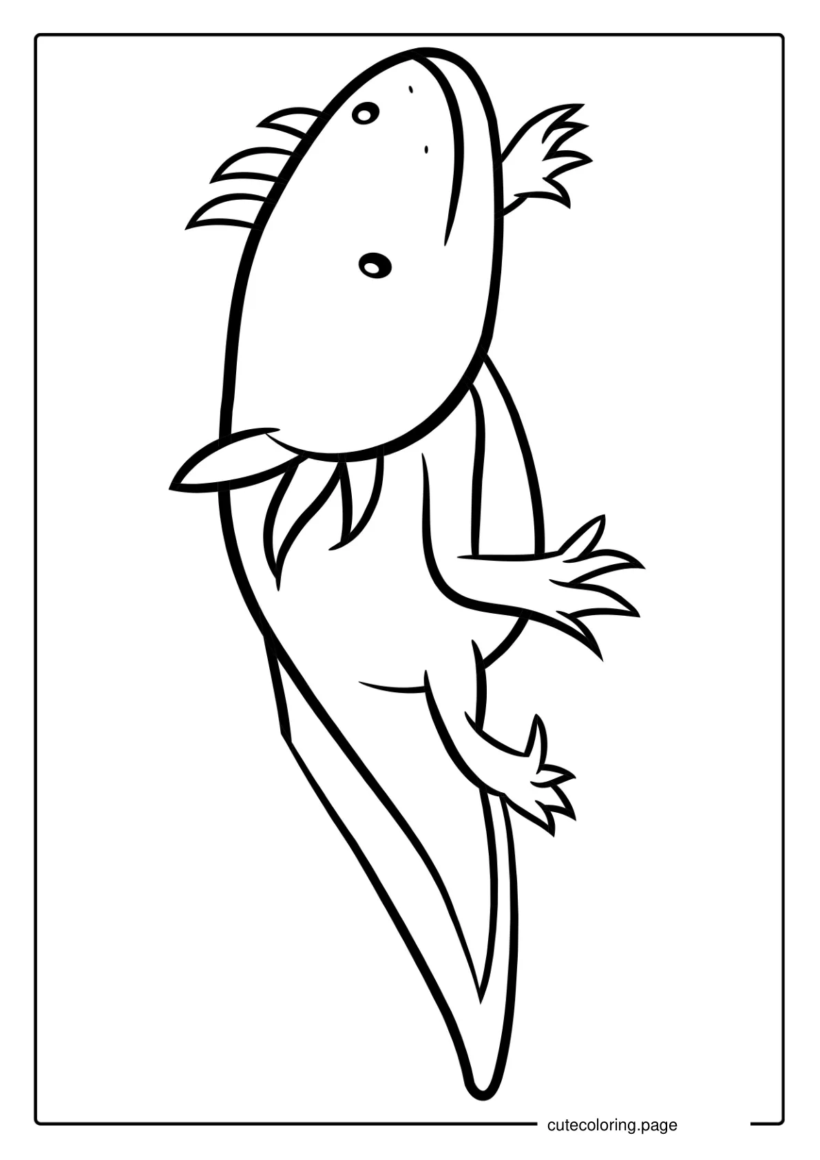 Outline Of Axolotl For Coloring In coloring page