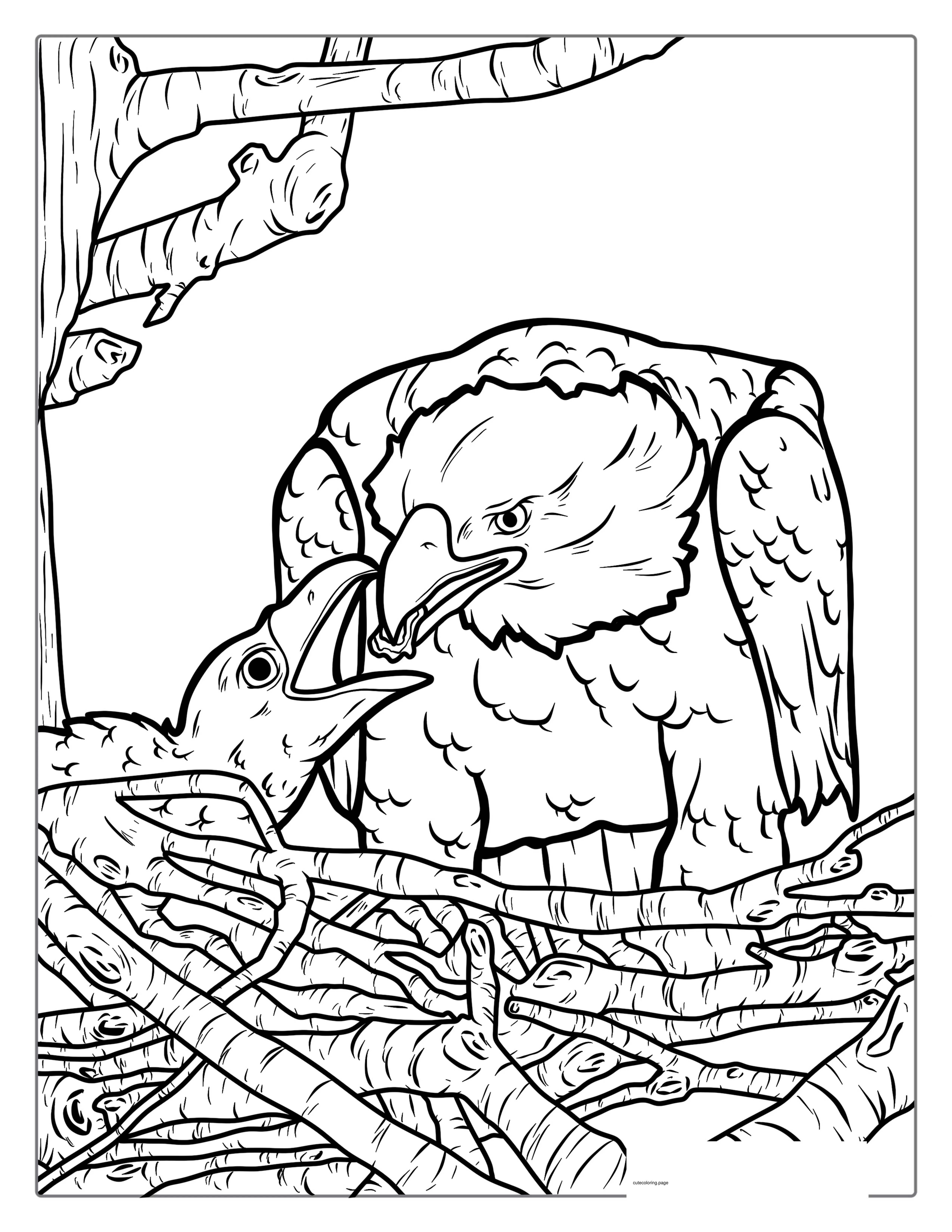 Bald Eagle Feeding Chick In Nest Coloring Sheet coloring page