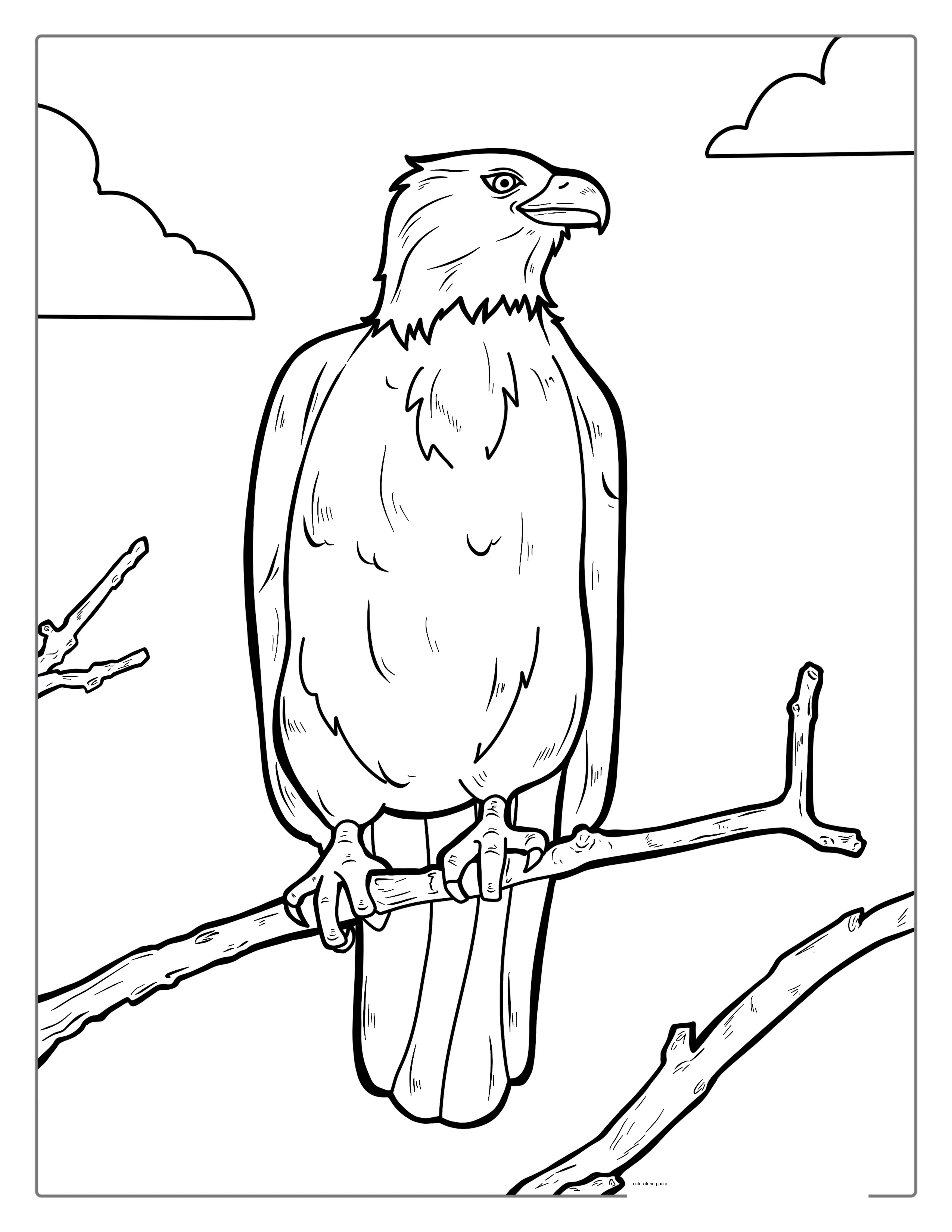 Bald Eagle Perched On Branch To Color coloring page