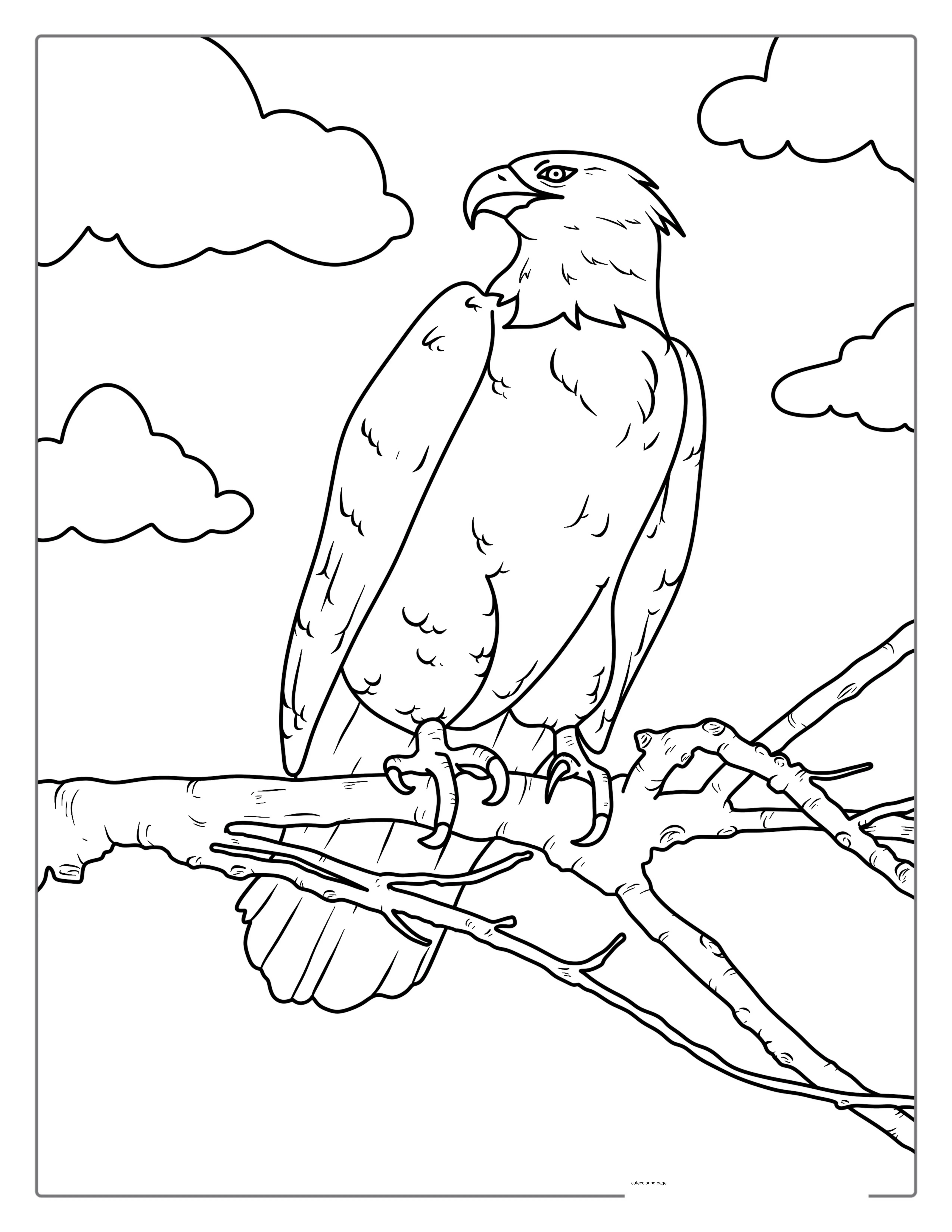 Bald Eagle With Claws On Branch Coloring In coloring page