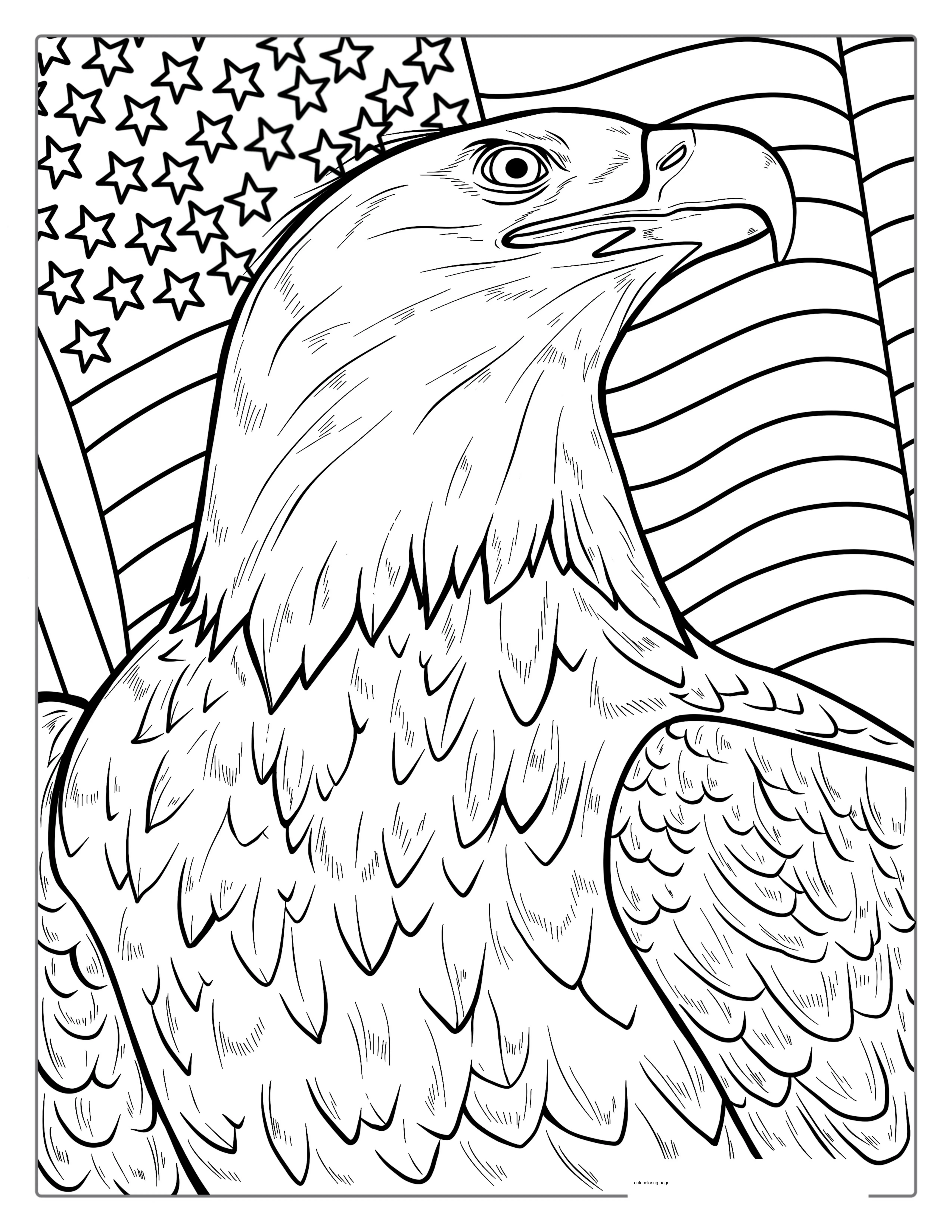 Bald Eagle With US Flag Coloring Page coloring page