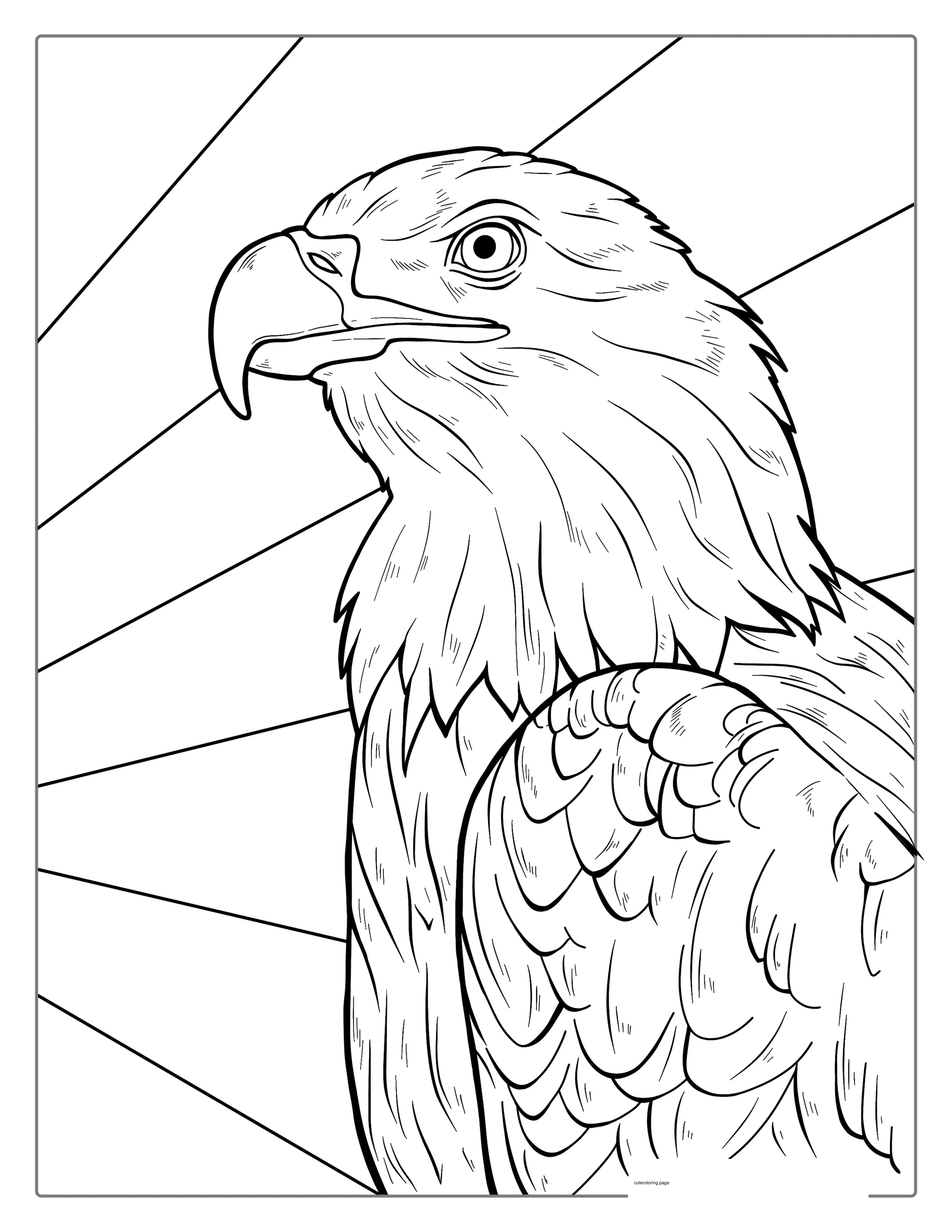 Detailed Bald Eagle Coloring For Adults coloring page