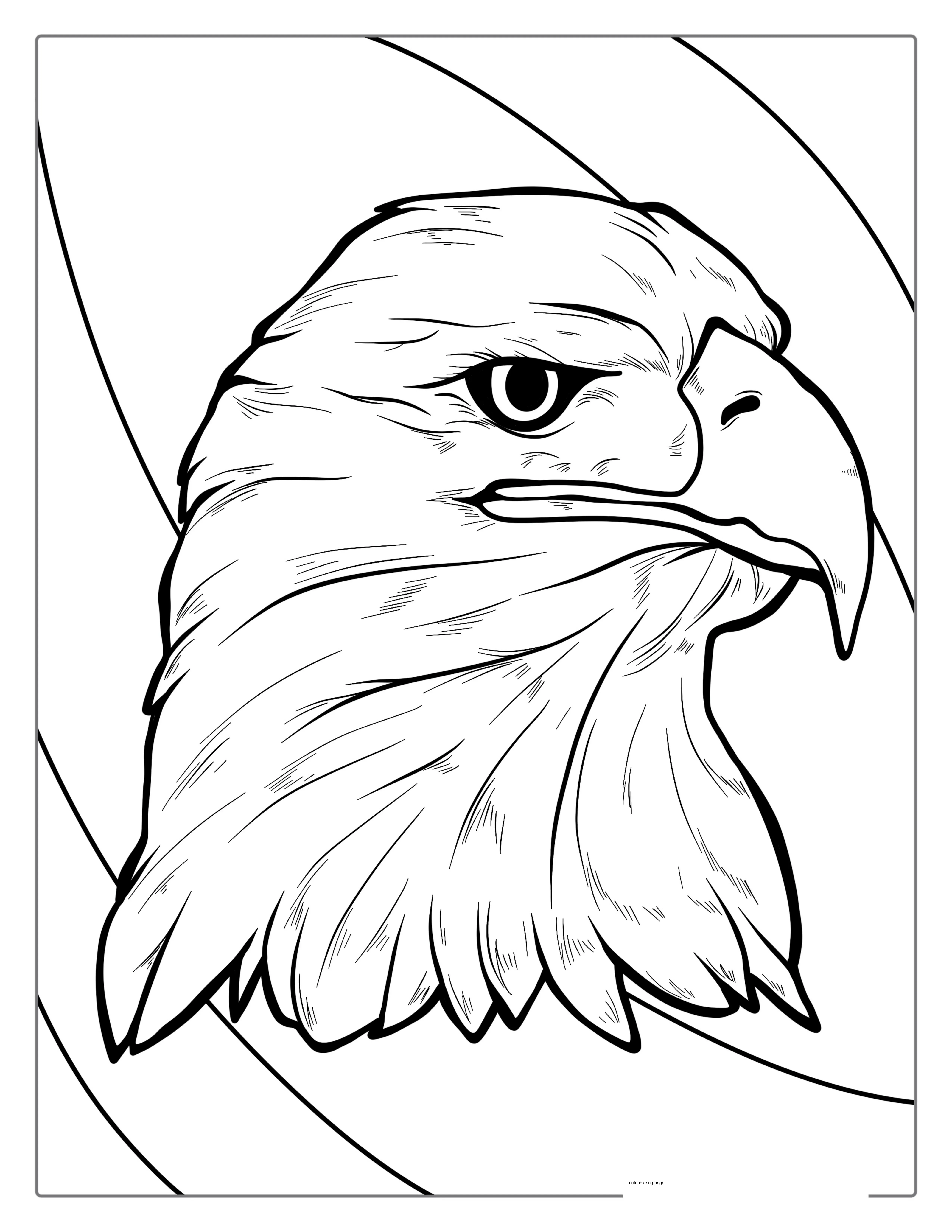 Detailed Bald Eagle Coloring For Adults1 coloring page