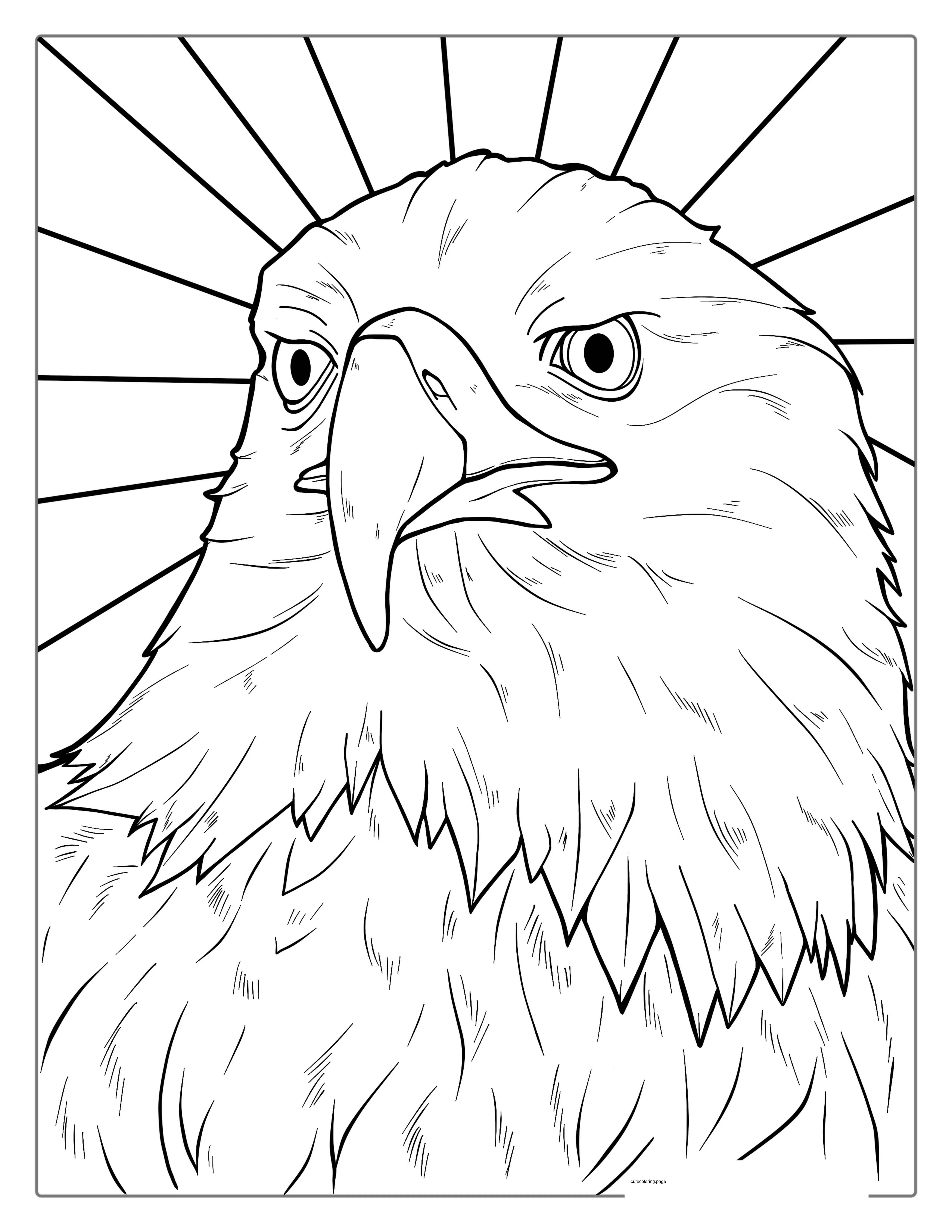 Detailed Bald Eagle Head Coloring For Adults coloring page