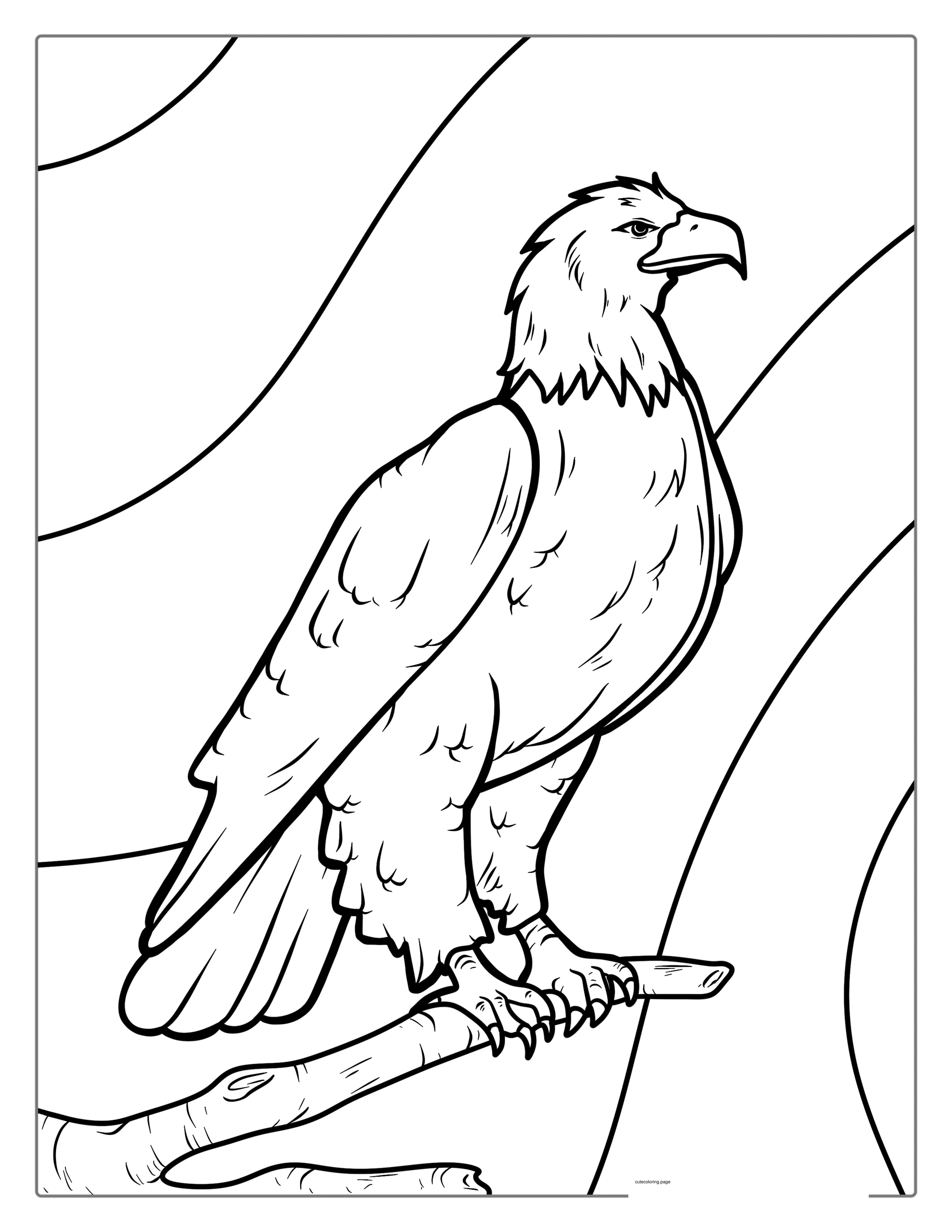 Majestic Bald Eagle Coloring Page coloring page