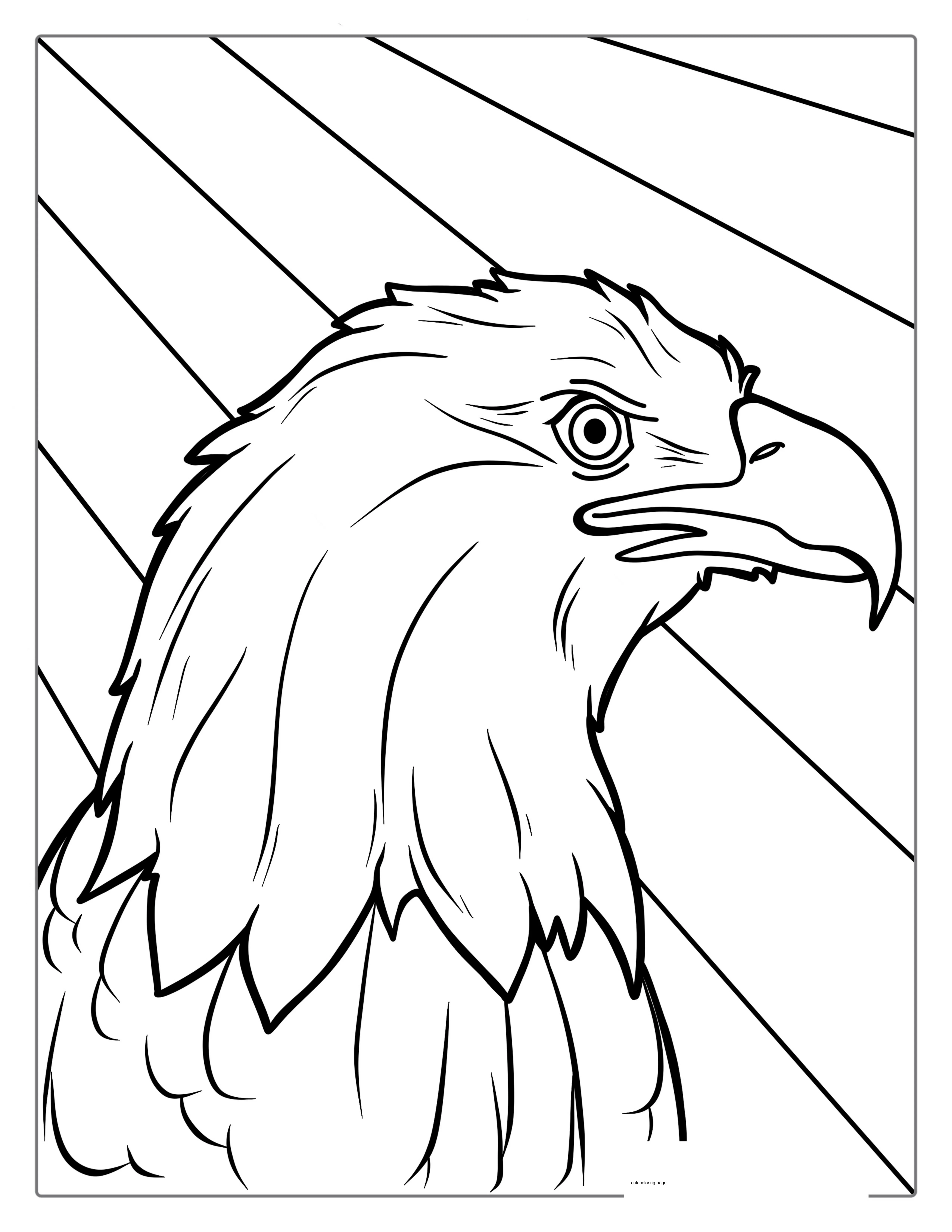 Outline Of Bald Eagle Head Coloring For Kids coloring page