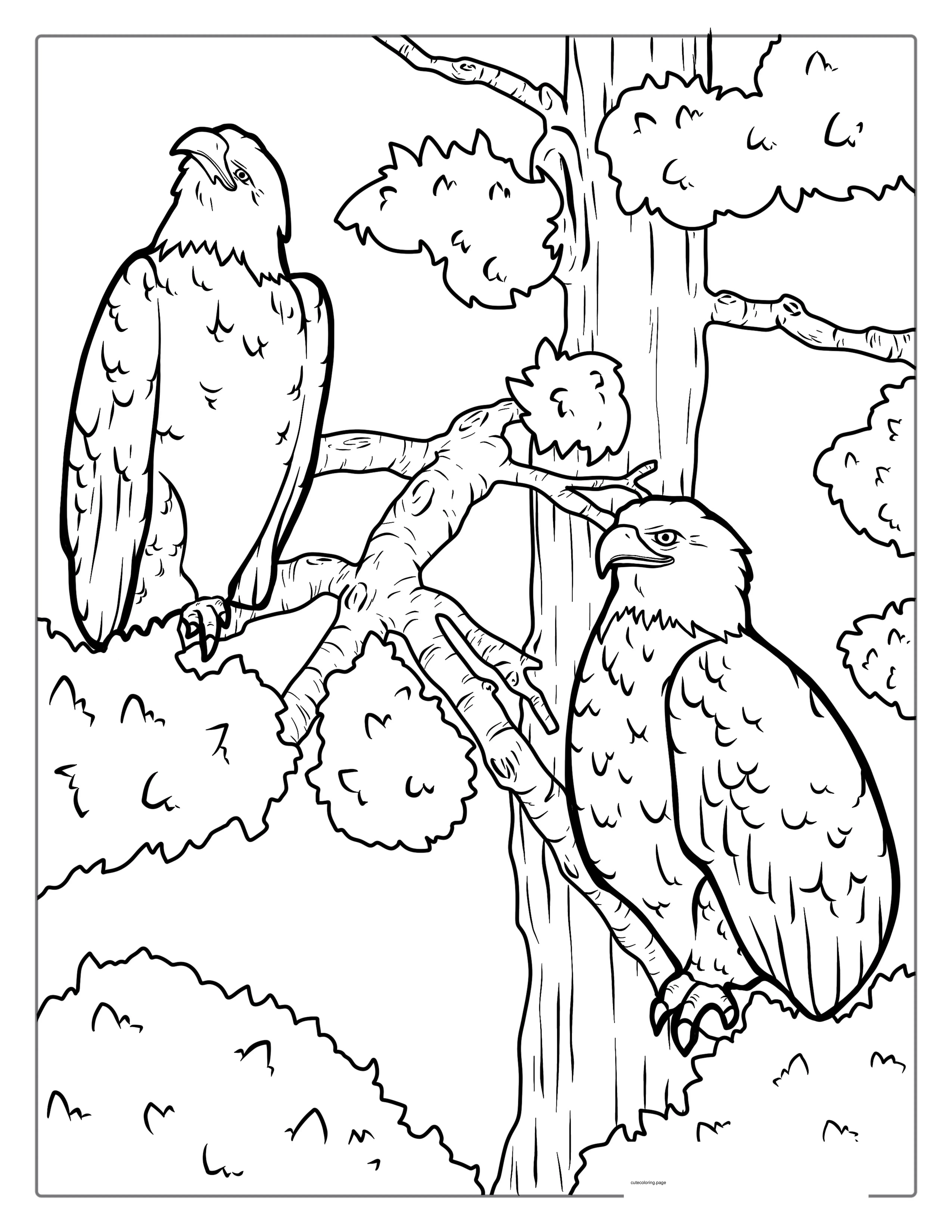 Two Bald Eagles Perched On Tree Coloring In coloring page