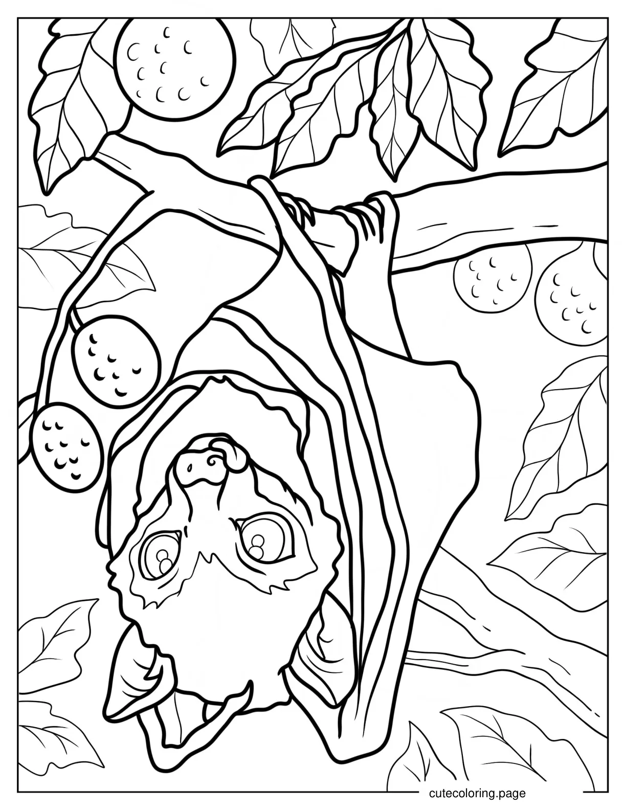 Close Up Of Realistic Bat Roosting On Fruit Tree Coloring Page coloring page