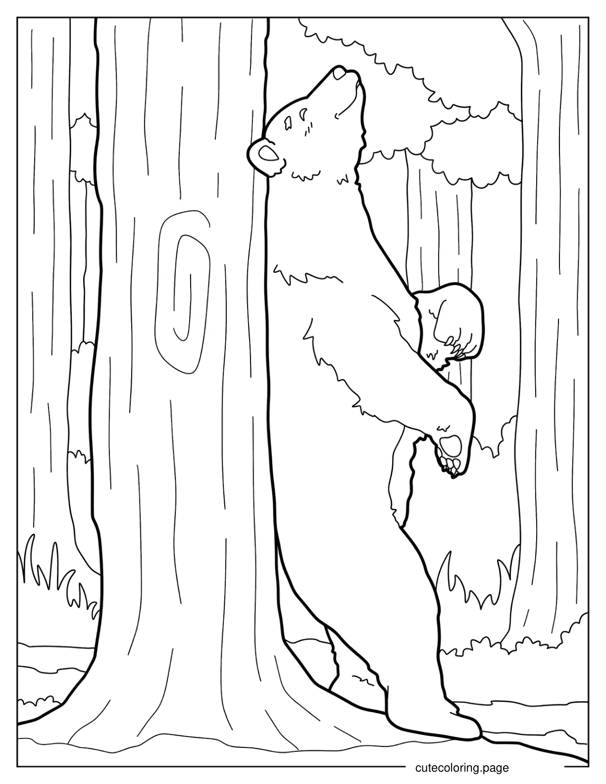 Adult Bear Rubbing Back On Tree Coloring Page coloring page