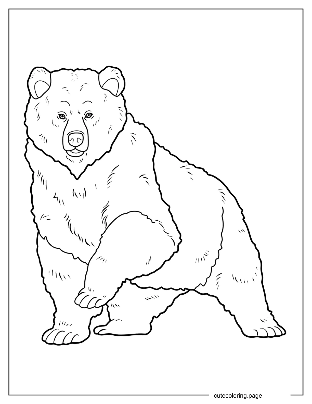 Fluffy Bear With One Paw Raised Coloring Page coloring page