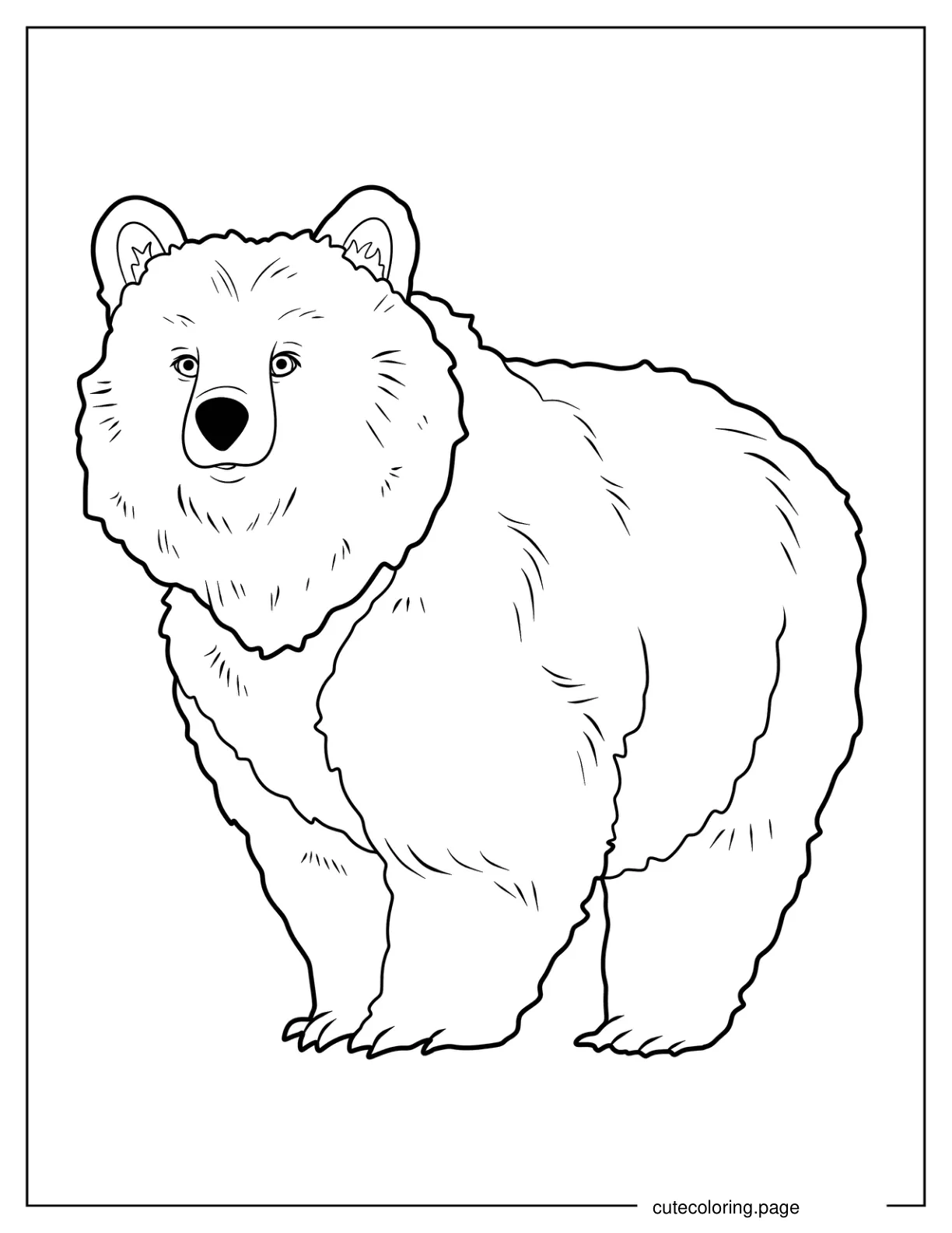 Simple Baby Bear Walking Coloring Page For Kids coloring page