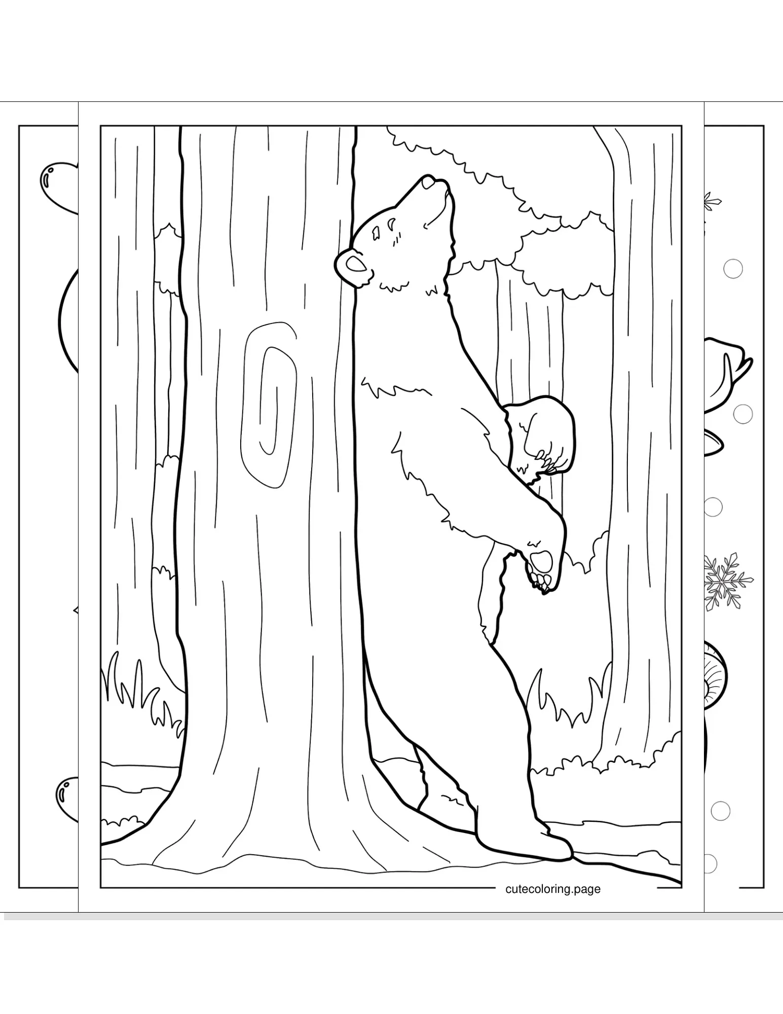 bear coloring pages coloring page