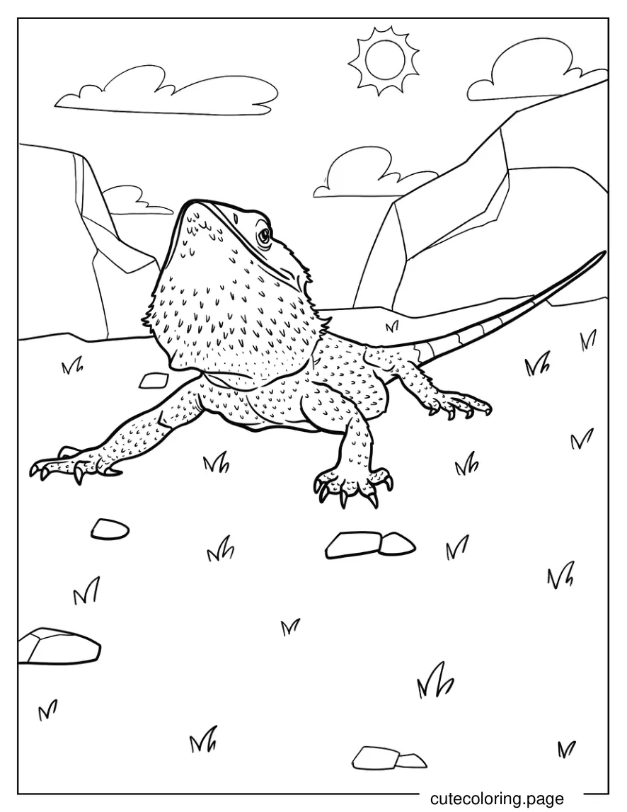 Bearded Dragon On Grass Coloring Page 1 coloring page