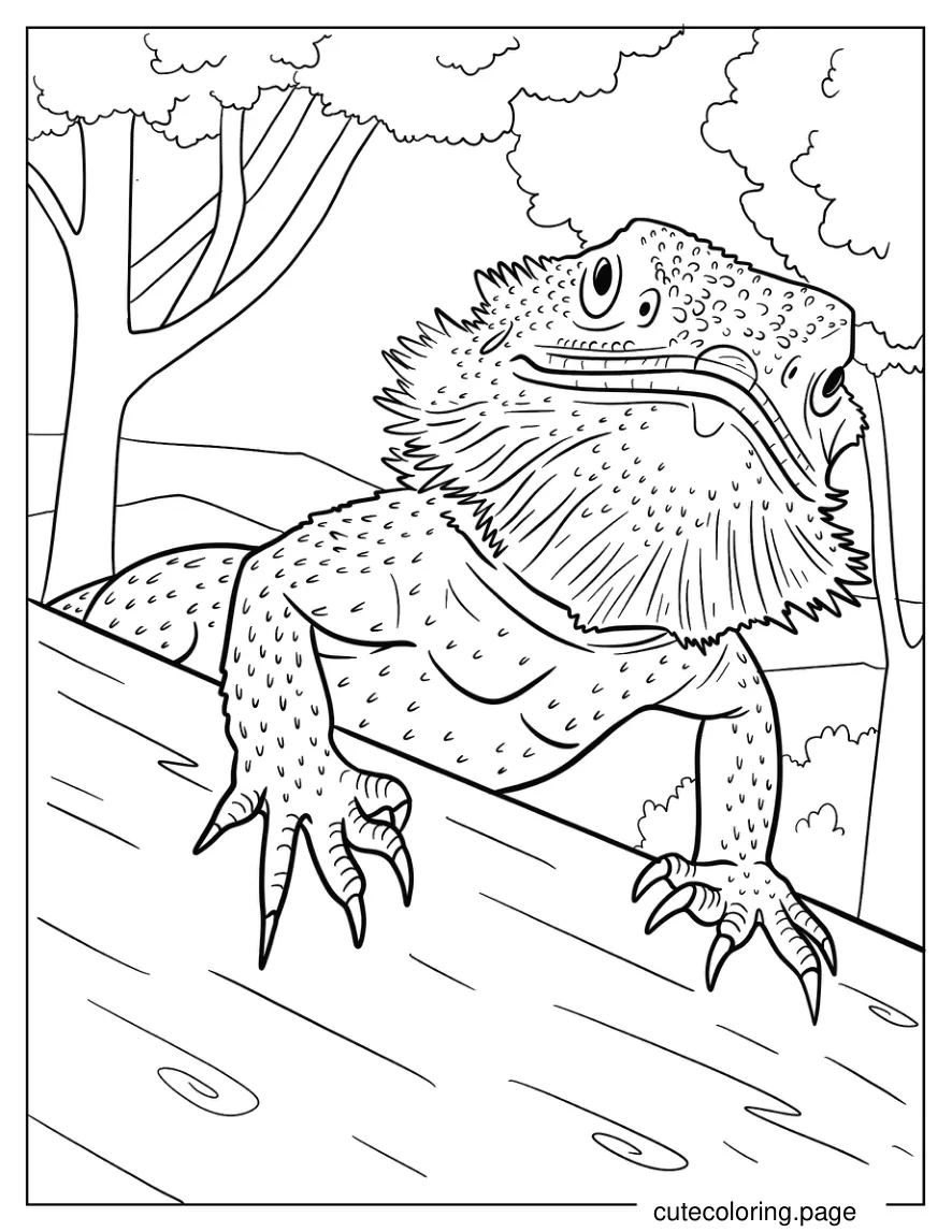 Detailed Close Up Of Bearded Dragon Face 1 coloring page