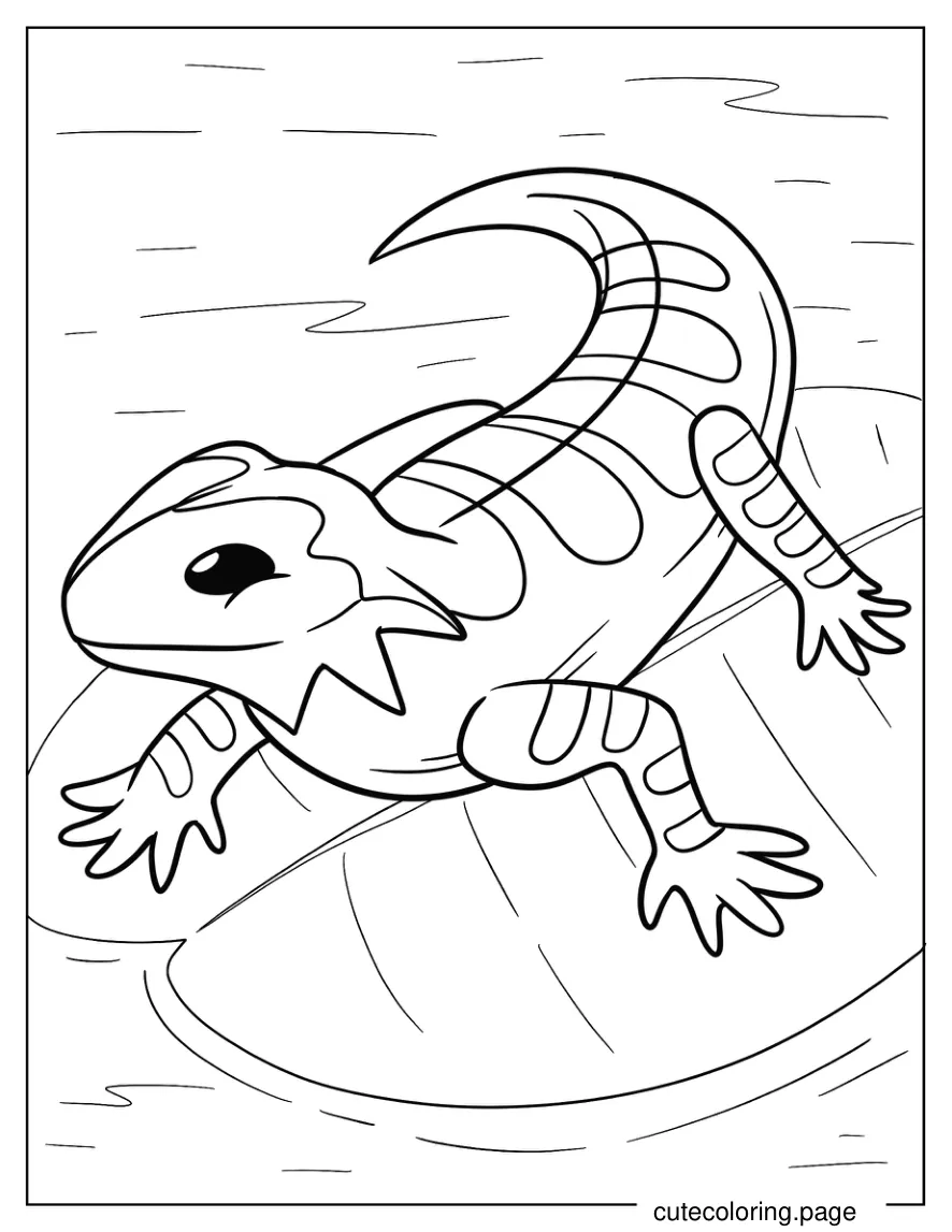 Easy Bearded Dragon on Lily Pod 1 coloring page