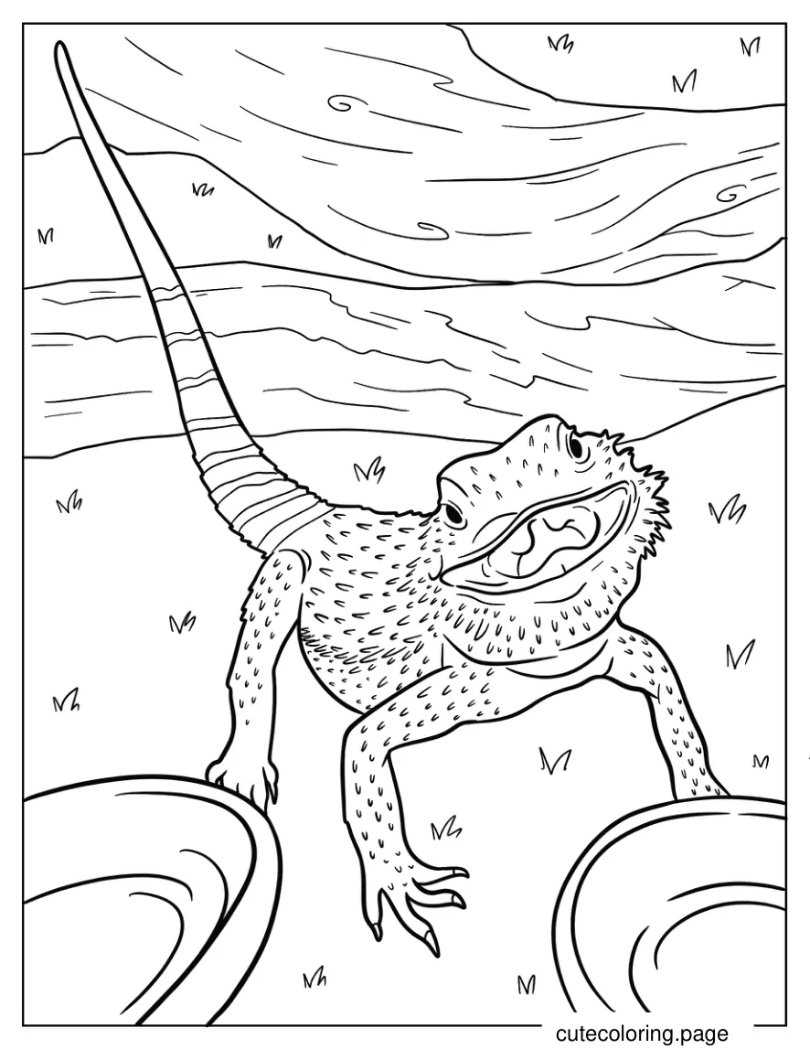 Happy Bearded Dragon With Textured Skin Coloring Page 1 coloring page