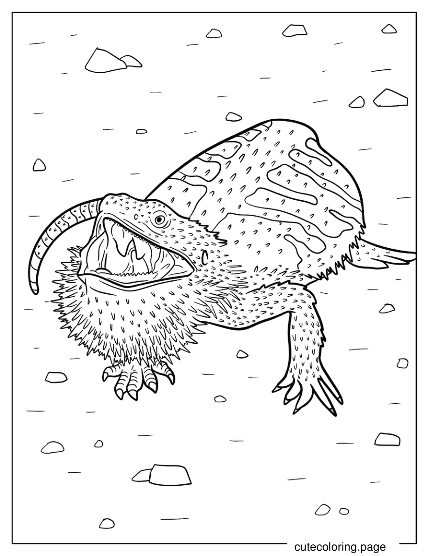 Large Bearded Dragon With Open Mouth Coloring Sheet 1 coloring page