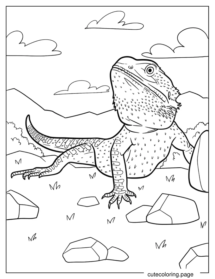 Realistic Bearded Dragon 1 coloring page