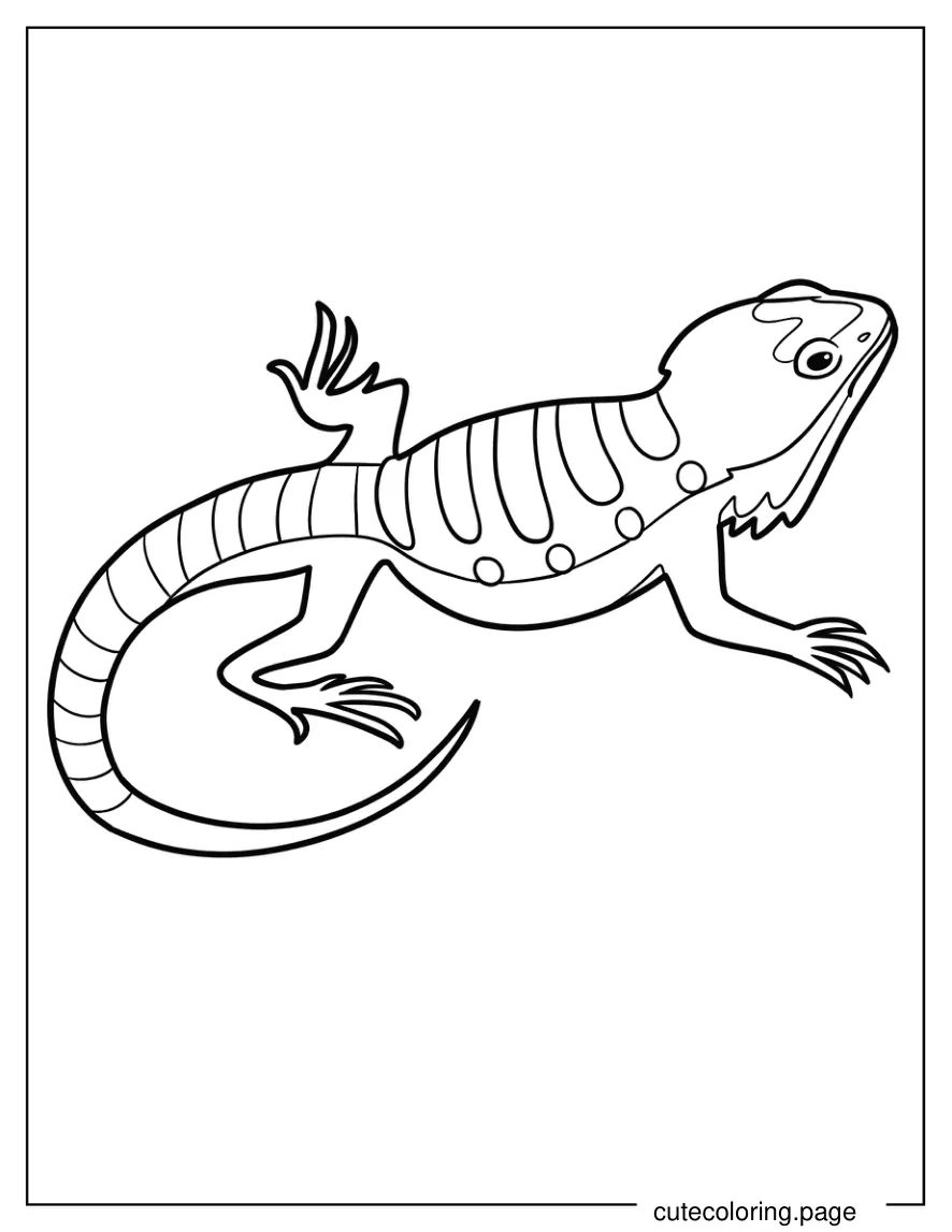 Simple Bearded Dragon Coloring Page For Kids 1 coloring page