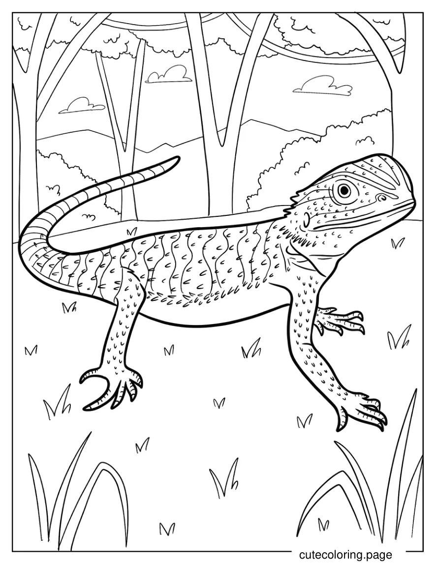 Small Bearded Dragon With Head Up Coloring Page 1 coloring page