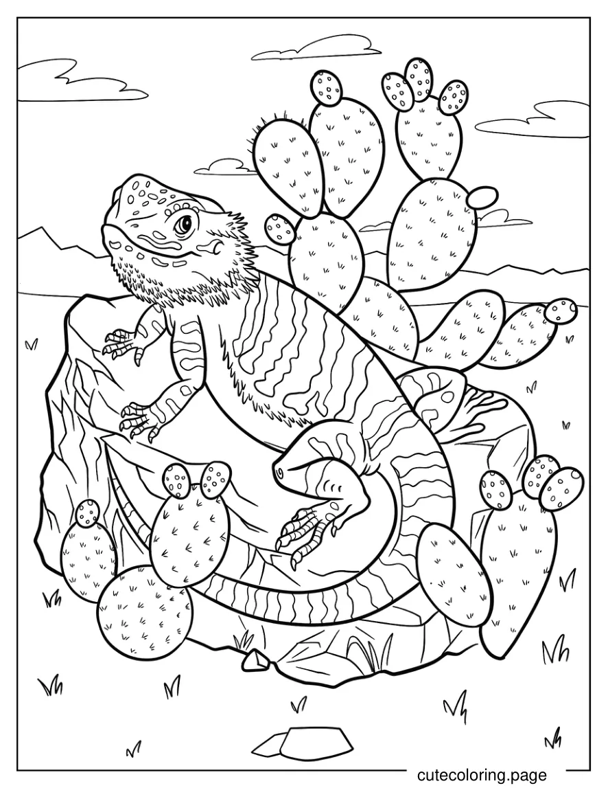 Smiling Bearded Dragon On Top Of Rock With Cactus Coloring Sheet 1 coloring page