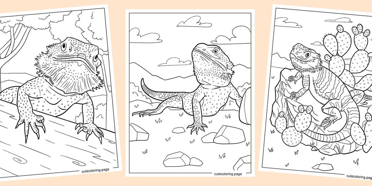 bearded-dragon-coloring-pages