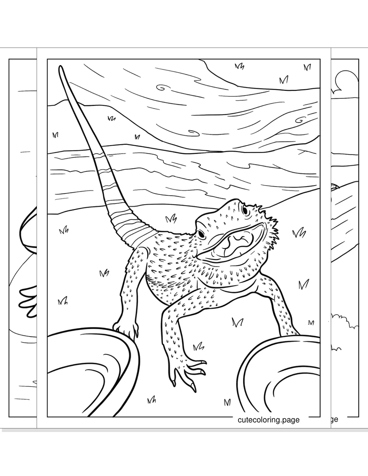 bearded dragon coloring pages coloring page