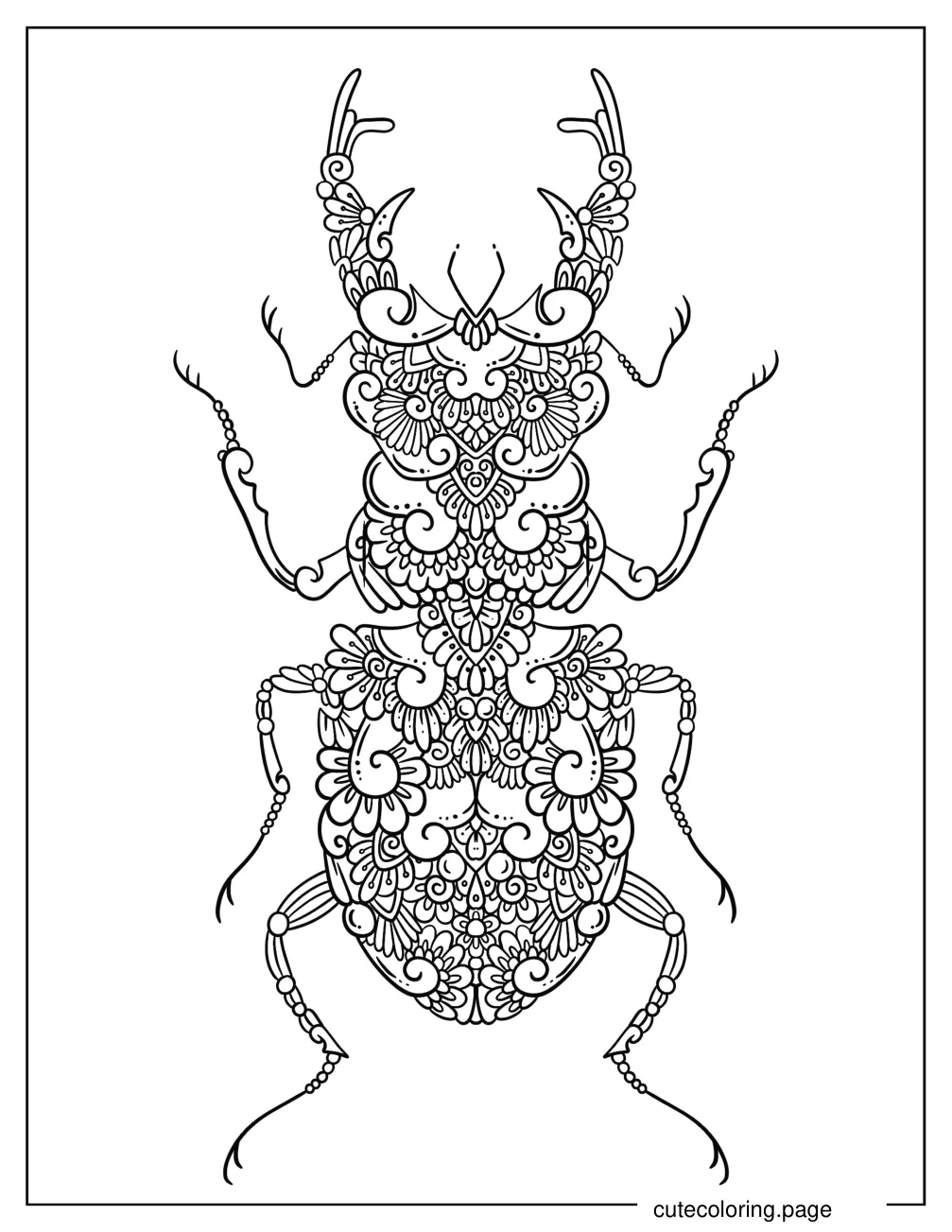 Flower Beetle Mandala coloring page