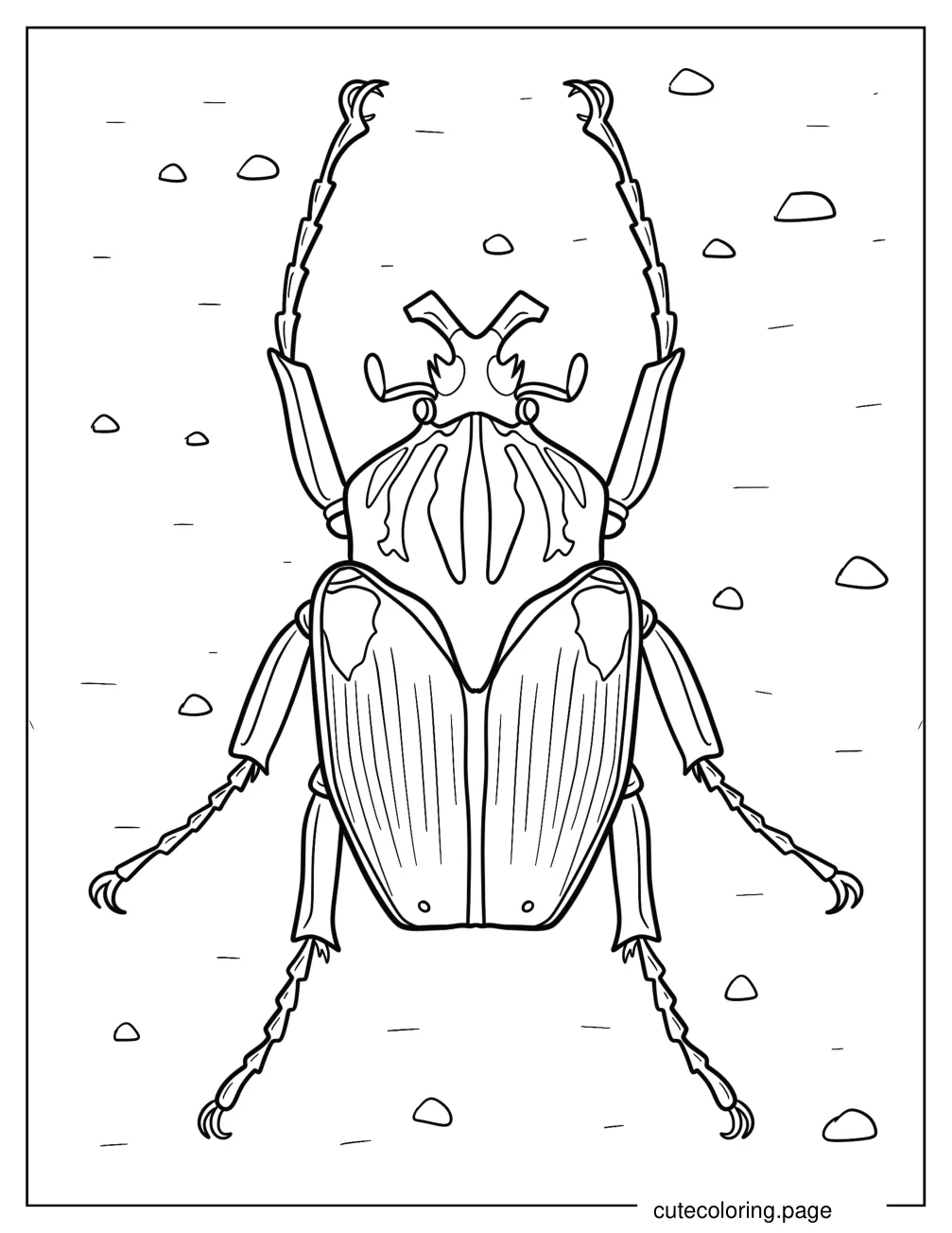 Goliath Beetle coloring page