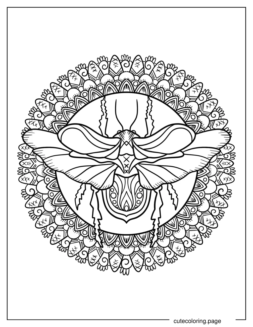 Intricate Beetle Mandala Coloring Sheet coloring page