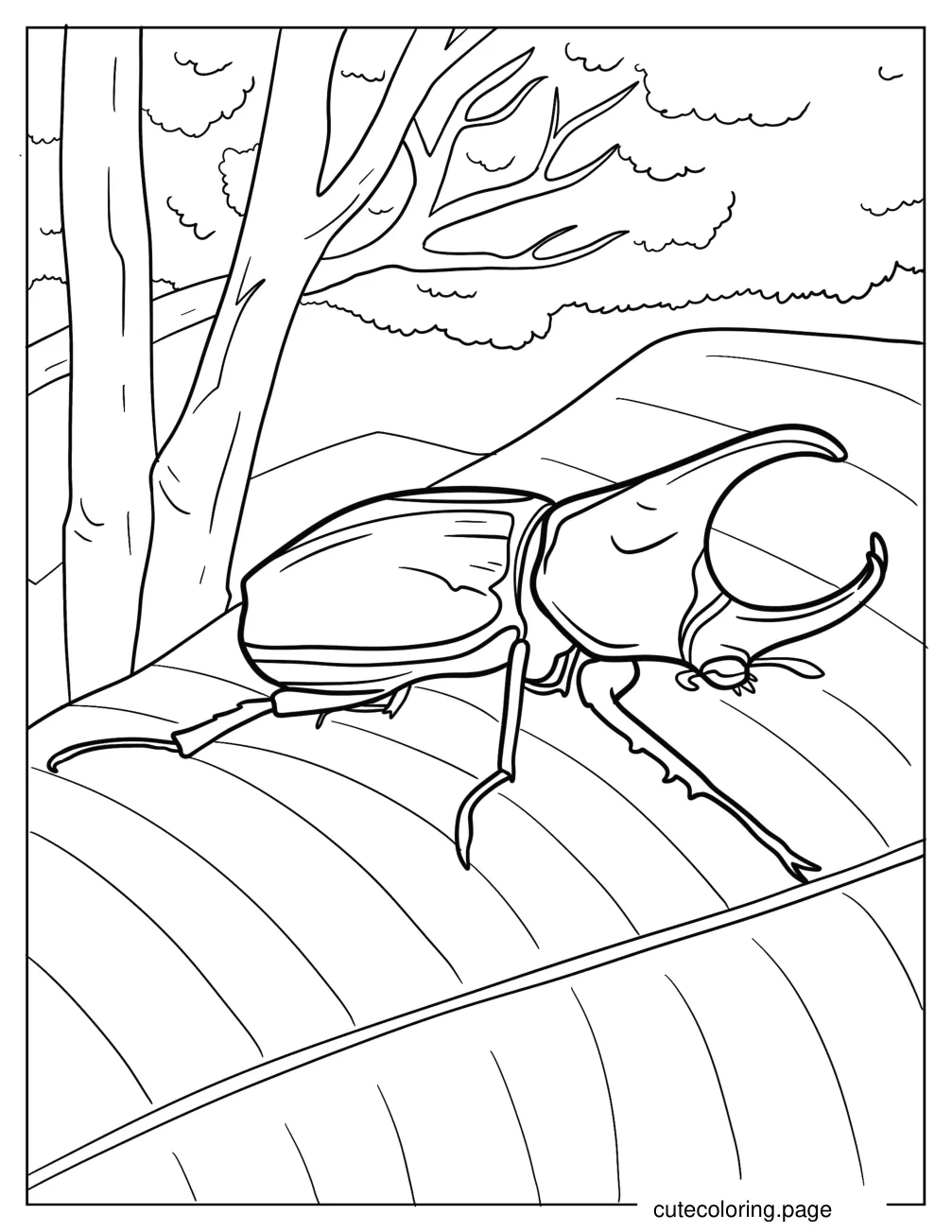 Rhinoceros Beetle On A Leaf Coloring Page coloring page