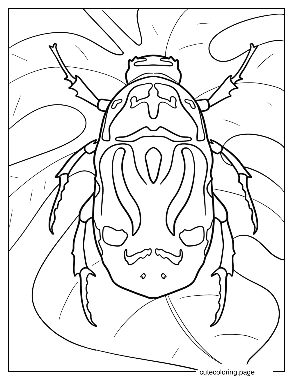 Top View Orange Lady Beetle Coloring Page coloring page