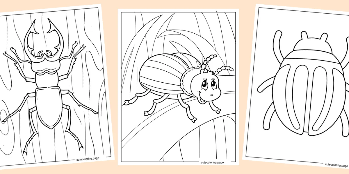 beetle-coloring-pages