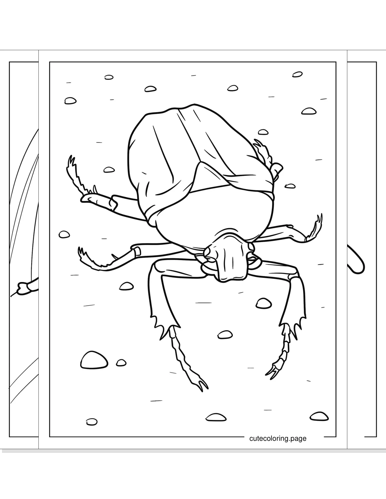 beetle coloring pages coloring page