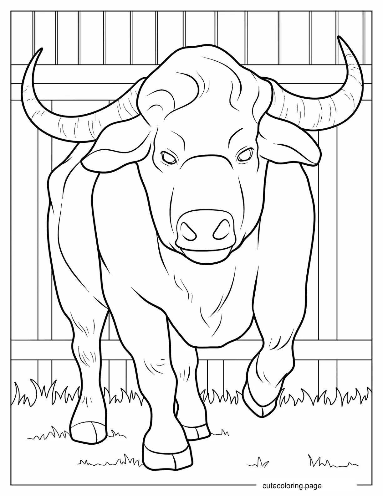 Front View Of Big Bull coloring page