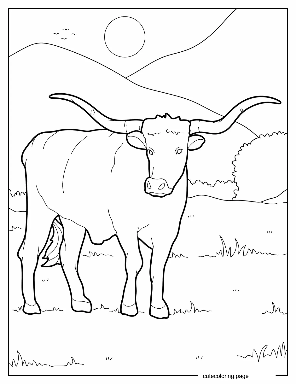 Simple Texas Longhorn Coloring Sheet coloring page