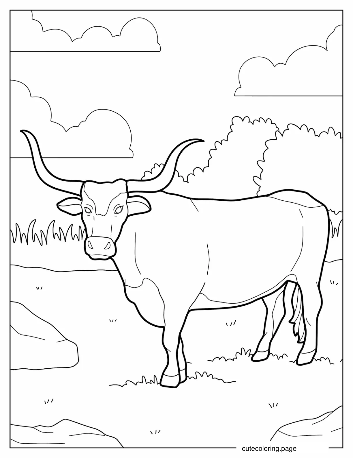 Texas Longhorn In The Field coloring page