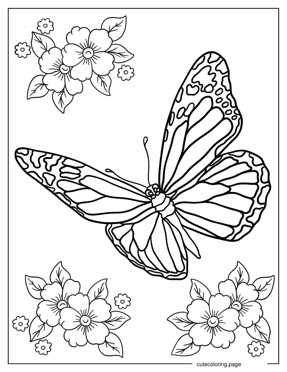 Butterfly With Spotted Wings coloring page