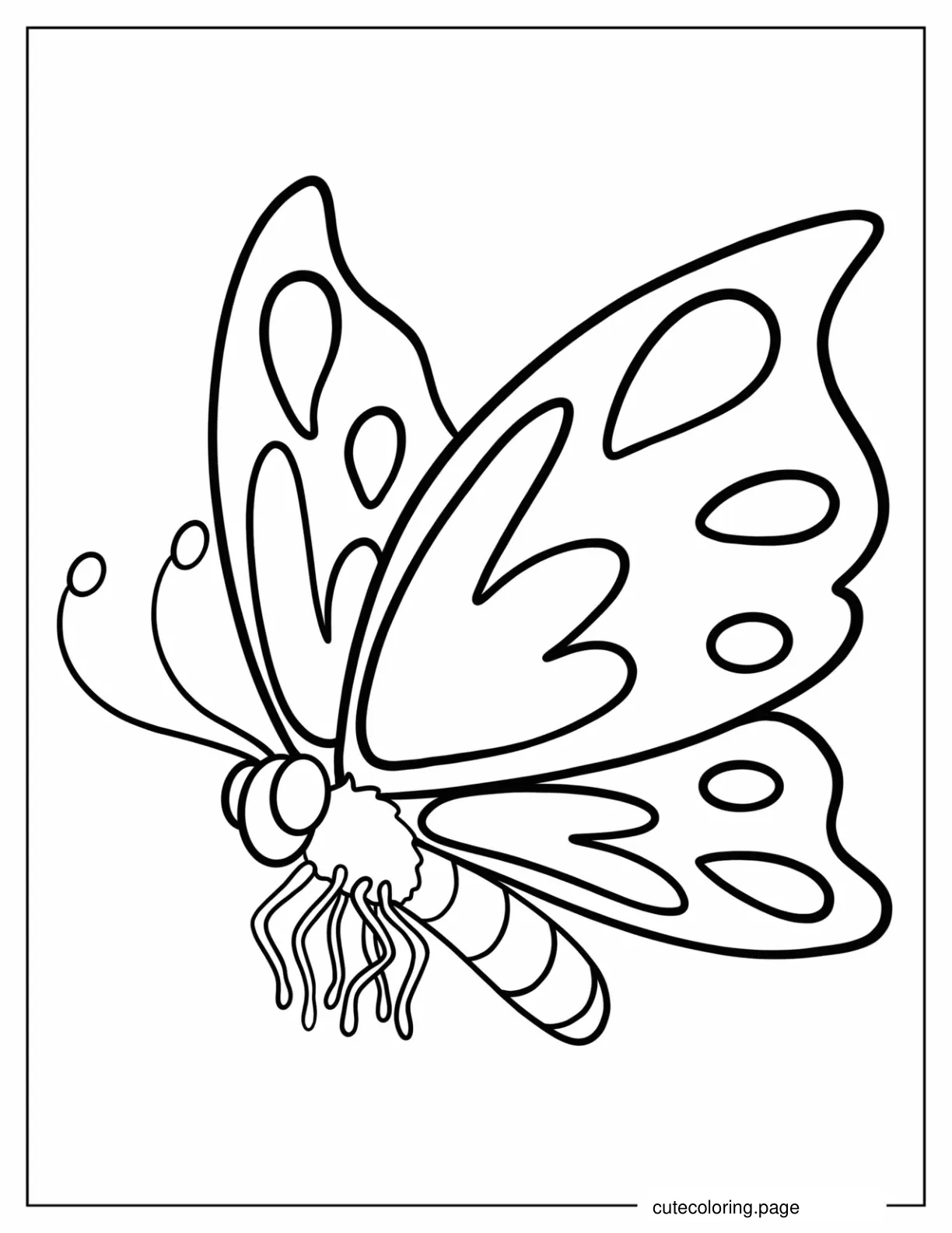 Close Up Of Butterfly To Color For Kids coloring page