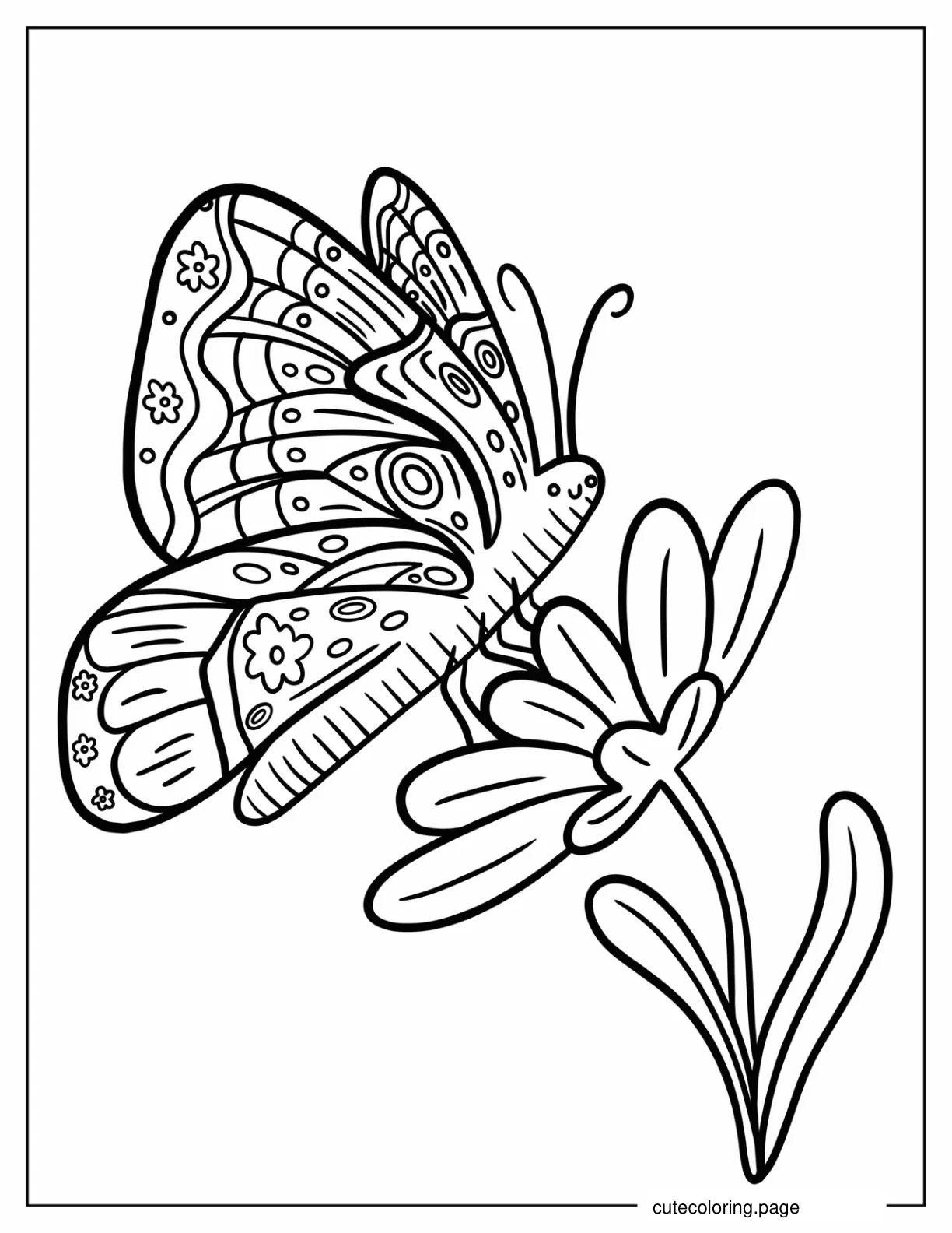 Happy Butterfly On Top Of Flower Coloring Sheet coloring page