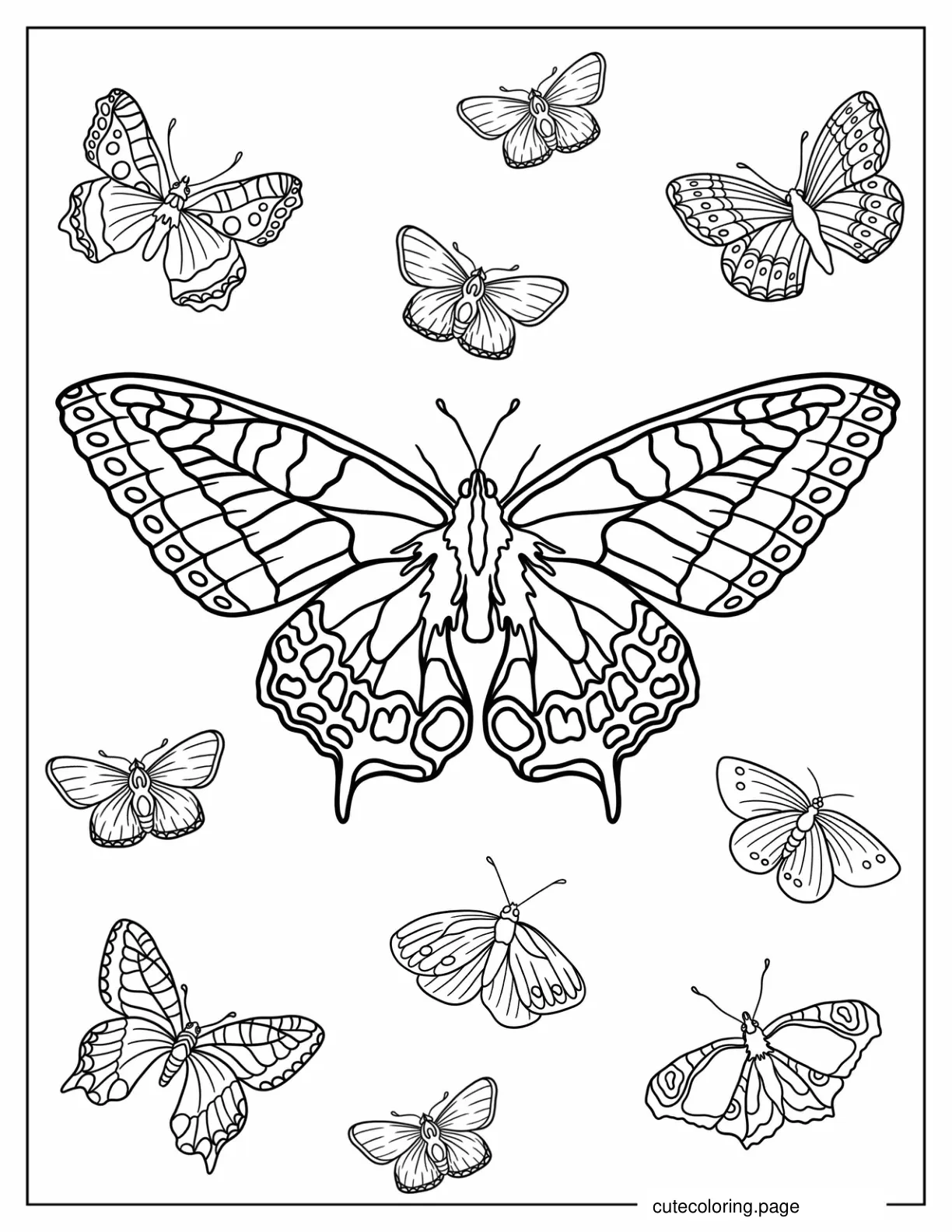 Old World Swallowtail Butterfly coloring page