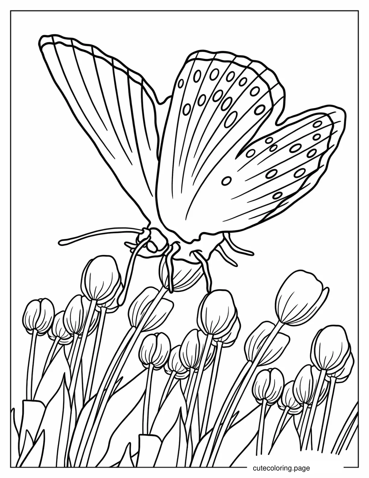 Realistic Outline Of Butterfly Hovering Over Tulips coloring page