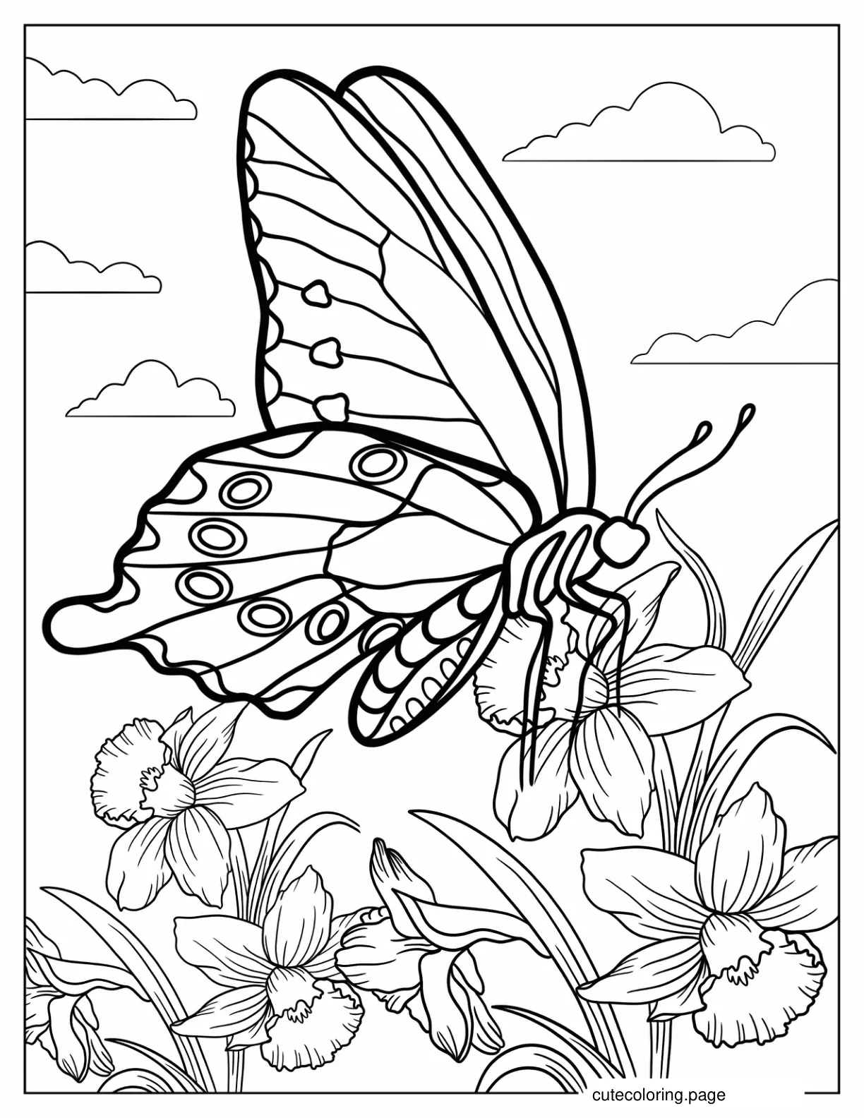 Swallowtail Butterfly Resting On Flower coloring page