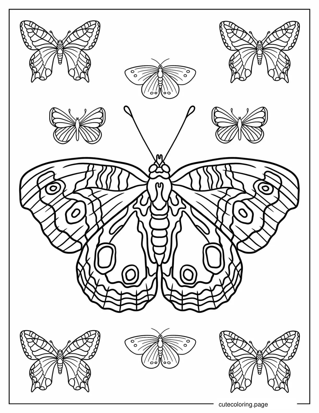 Tropical Butterfly Coloring Sheet coloring page