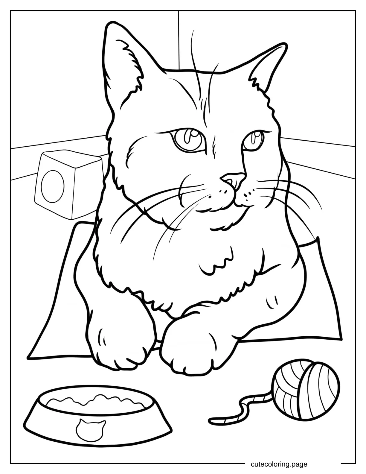 Close Up Of Realistic Cat coloring page