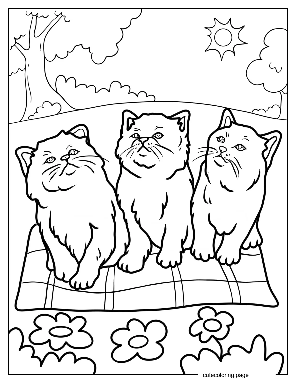 Three Realistic Kittens Looking Up coloring page