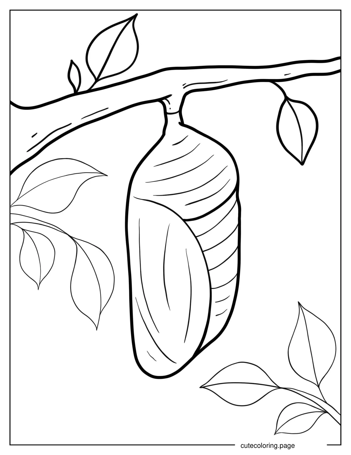 Caterpillar Cocoon Coloring Sheet coloring page