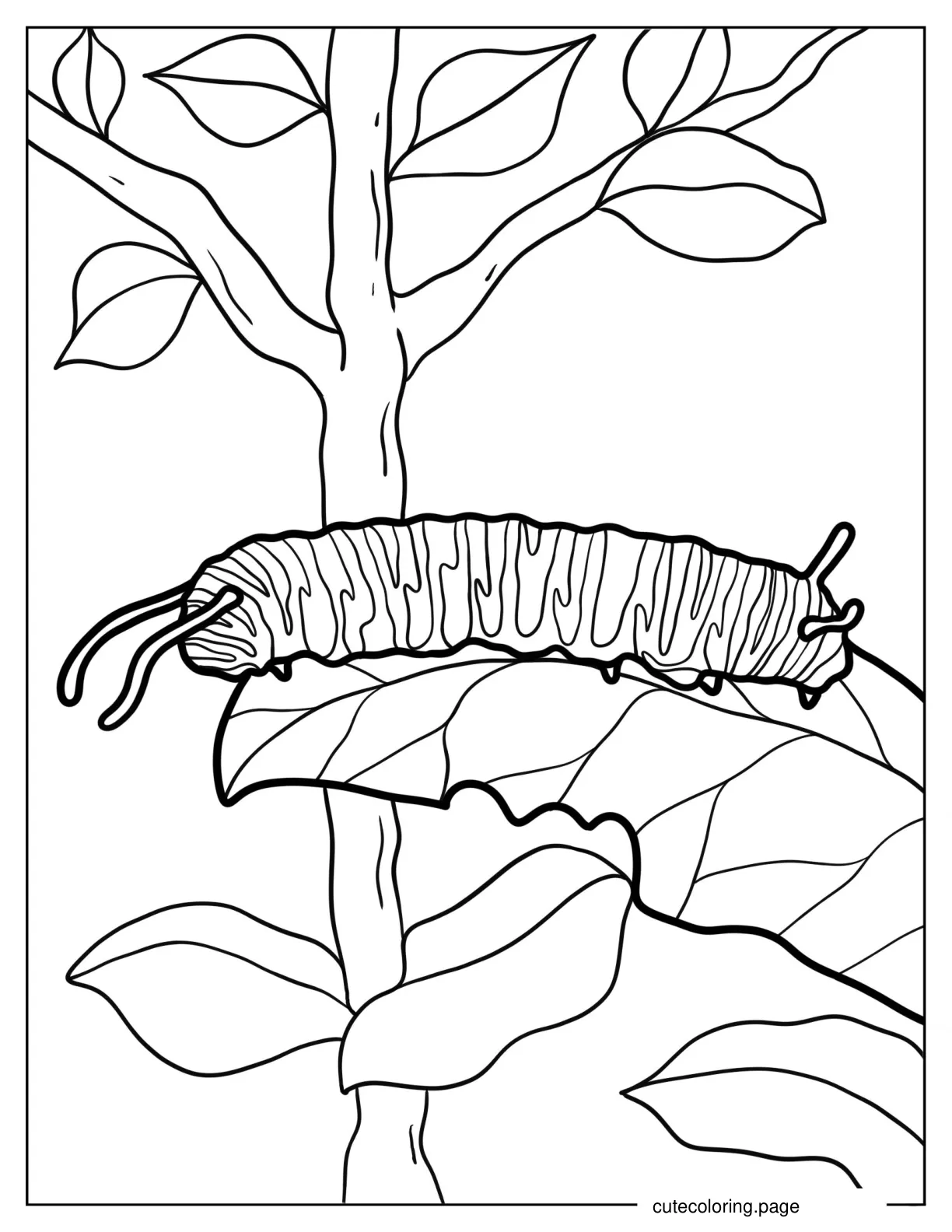 Coloring Page Of a Monarch Caterpillar coloring page